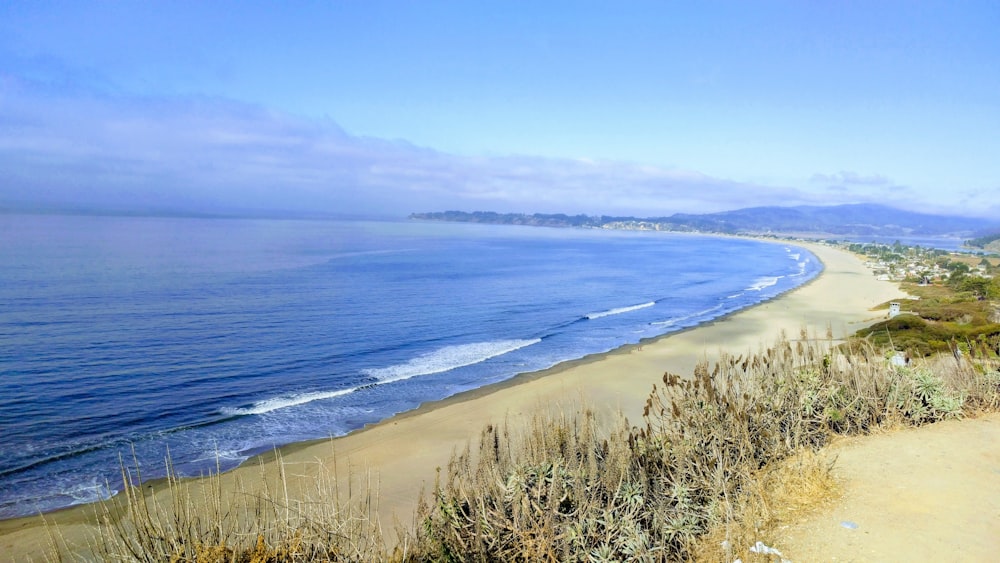 a view of a beach and ocean from a hill