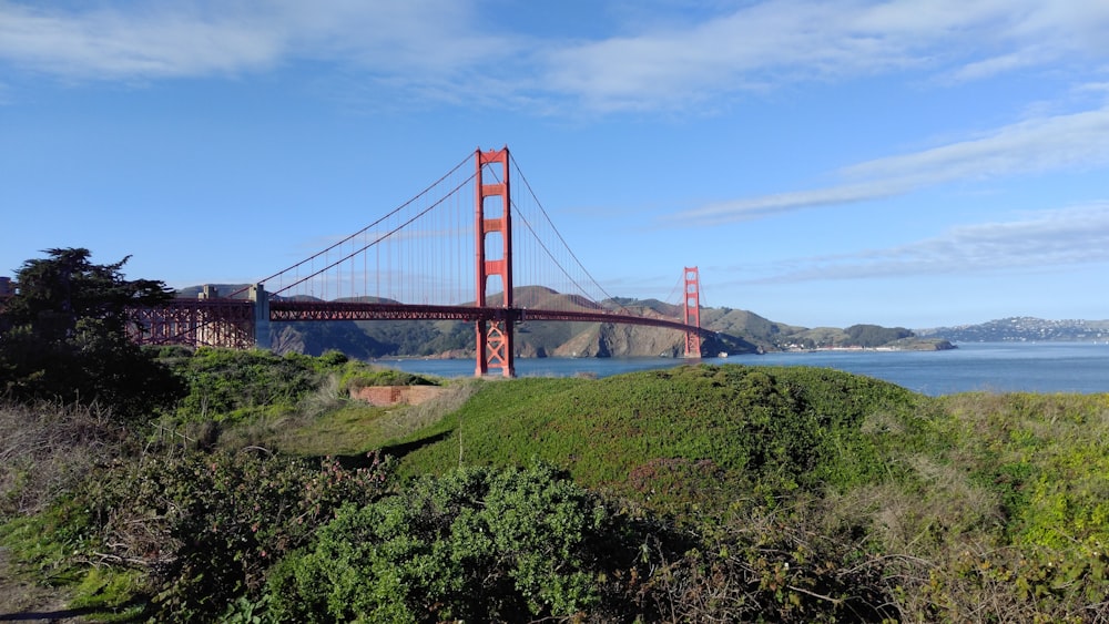 a view of the golden gate bridge in san francisco