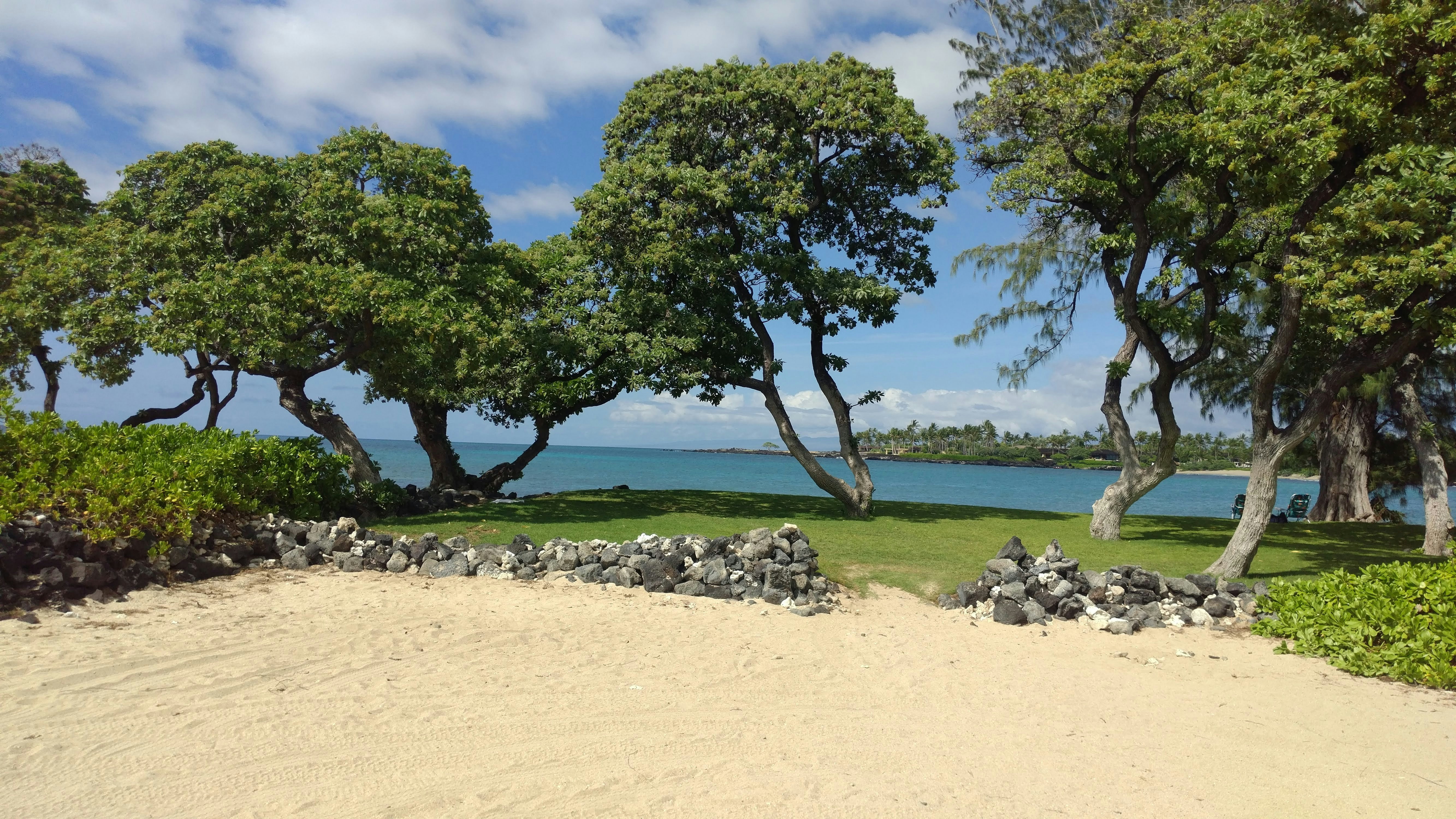 a sandy beach with trees and water in the background, 