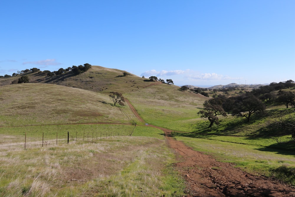 a dirt road going through a lush green field