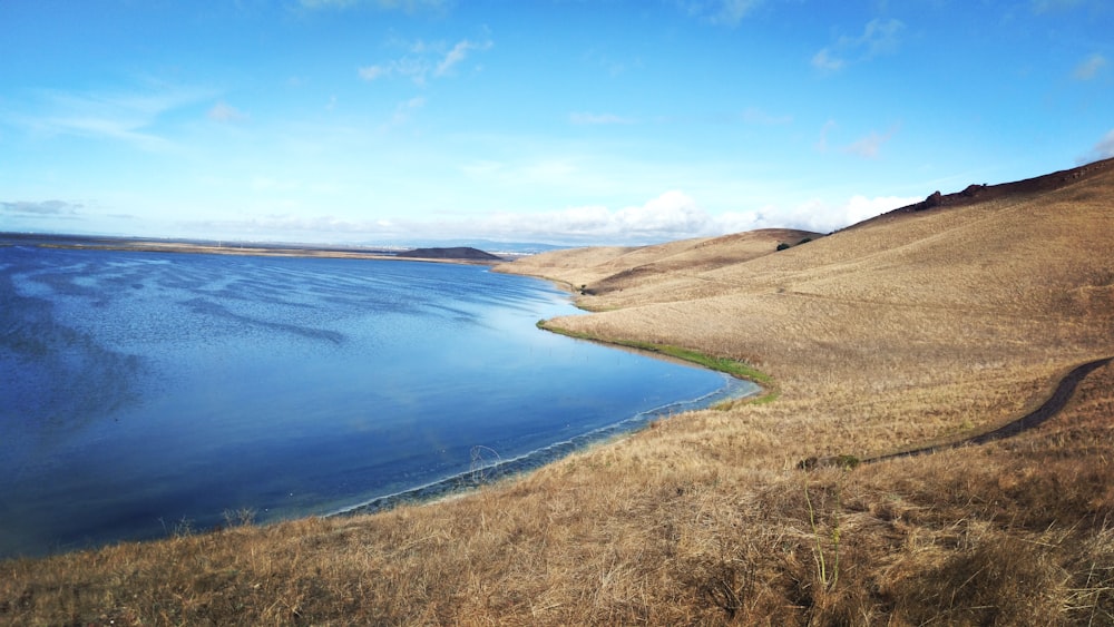 a large body of water surrounded by dry grass
