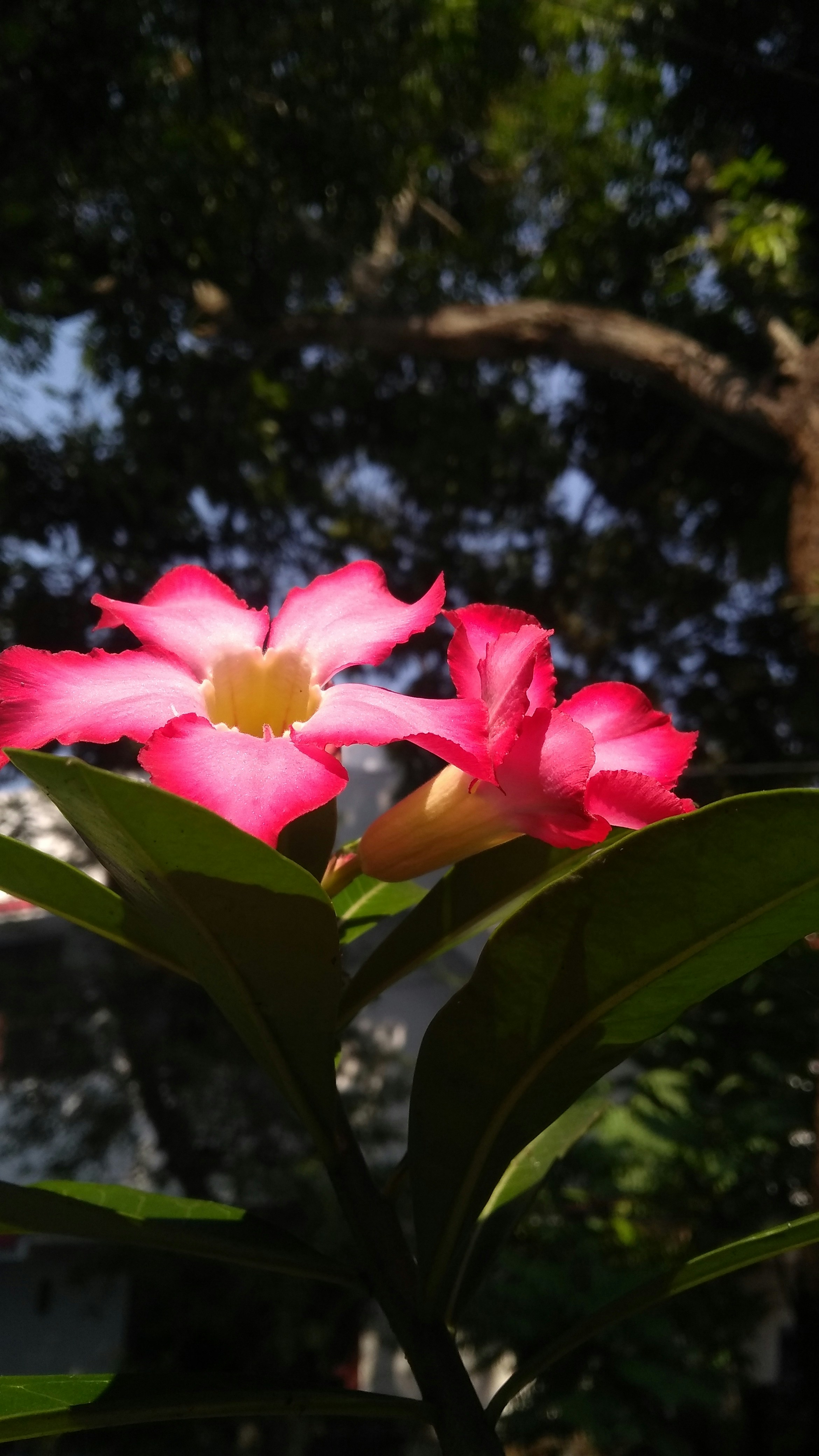 Photo by abhilashbalakrishnan97