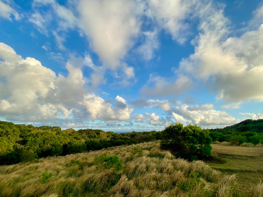 a grassy field with trees and clouds in the sky