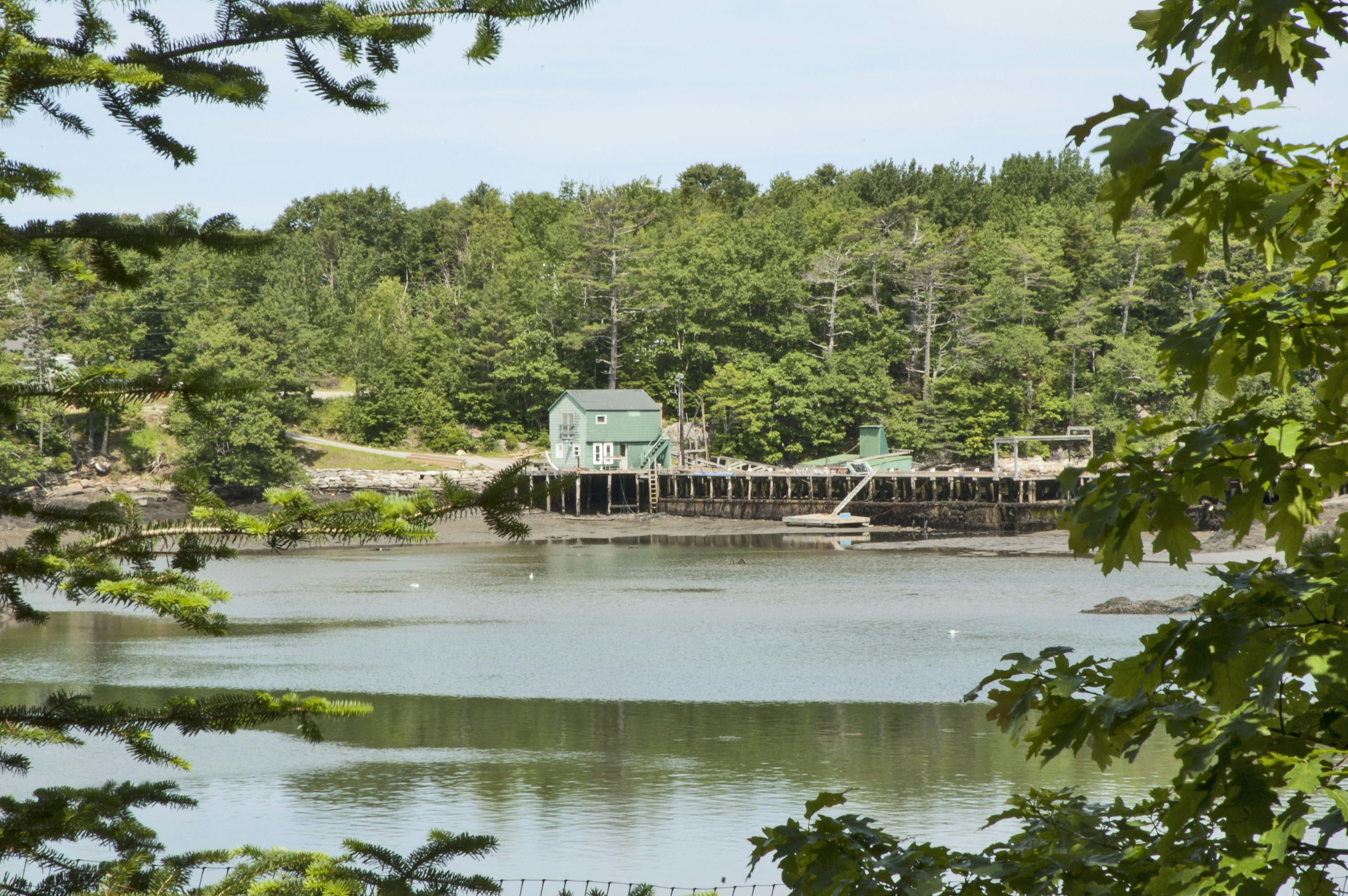 a large body of water surrounded by trees