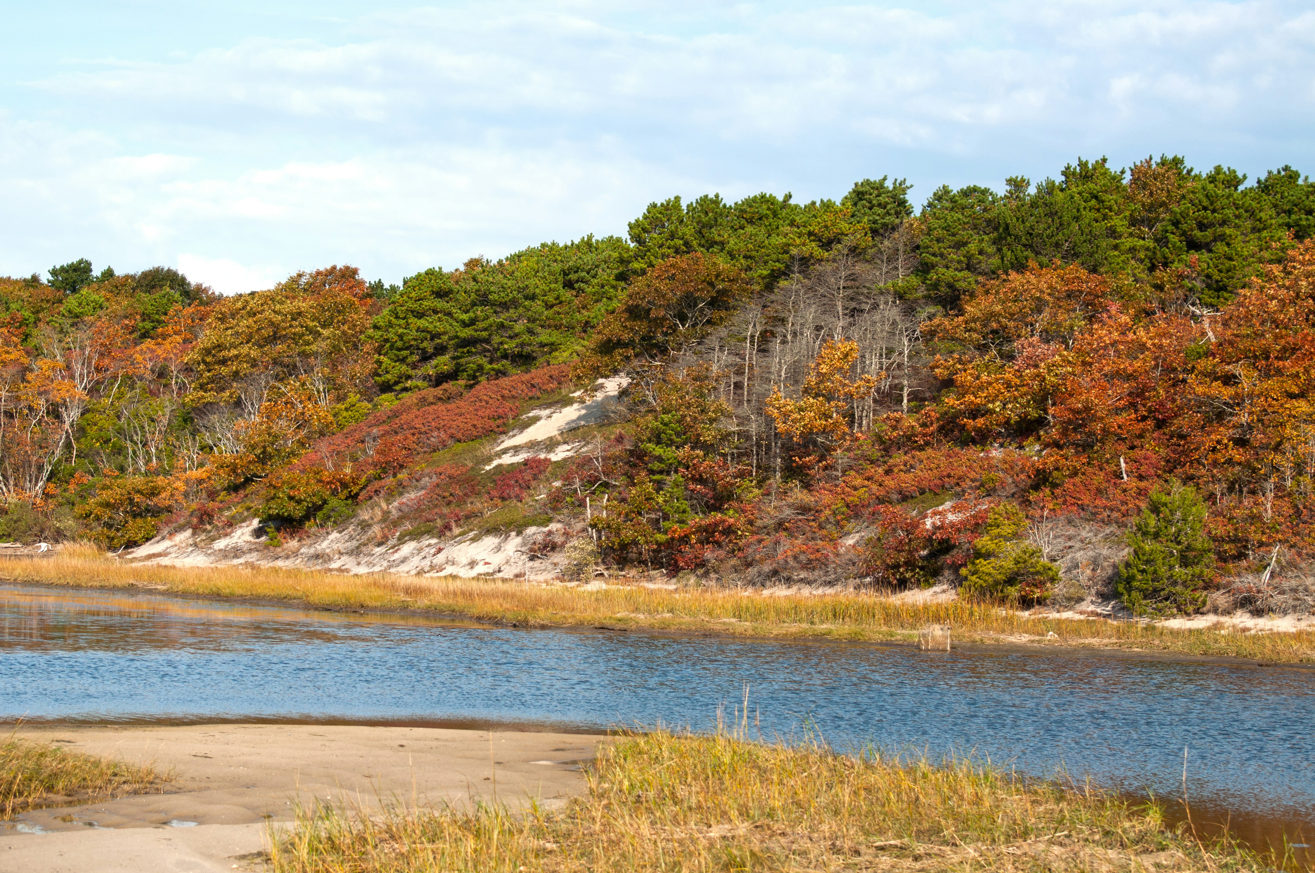 a body of water surrounded by trees and grass