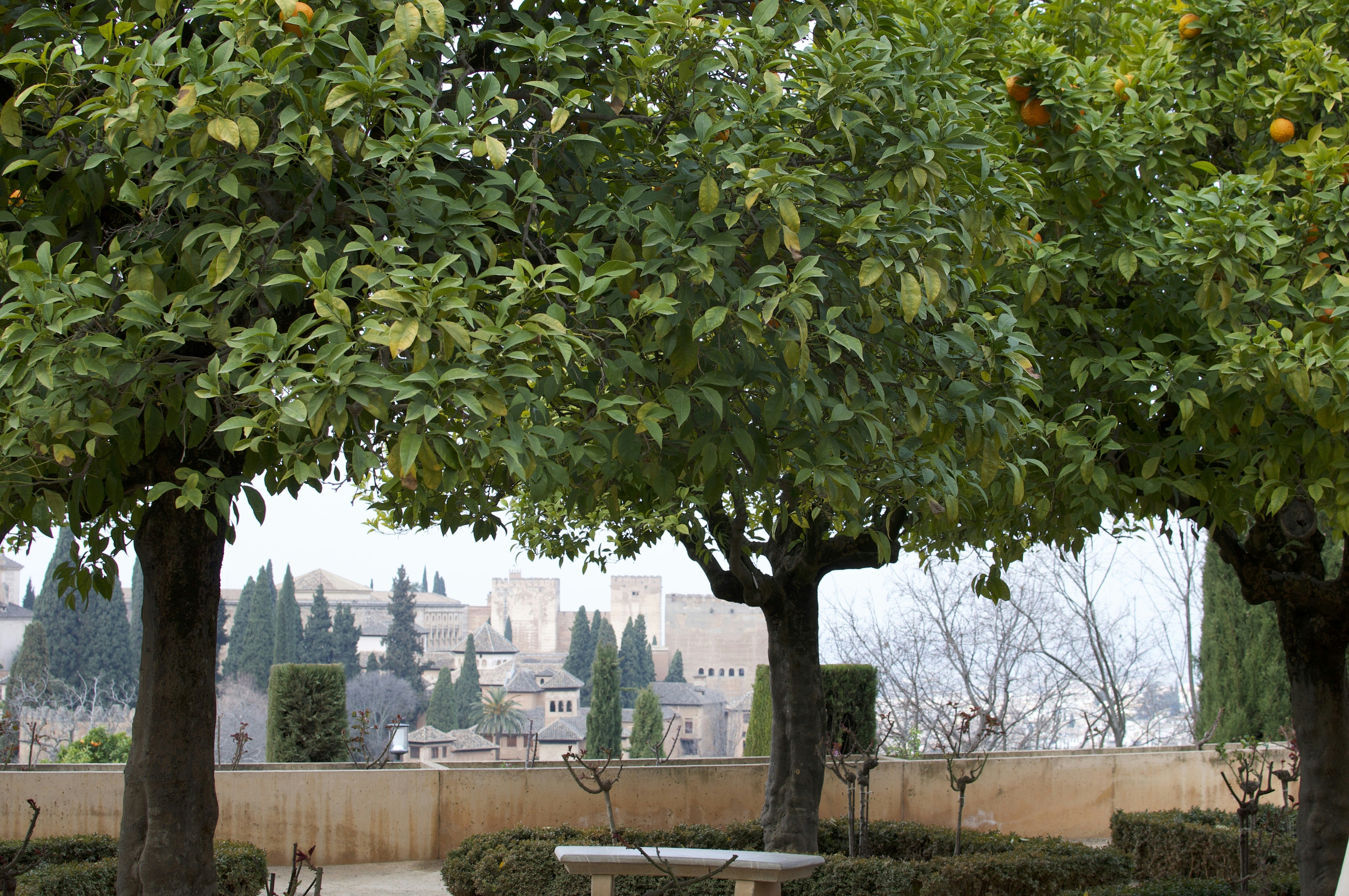 Photo by annawohnoutka