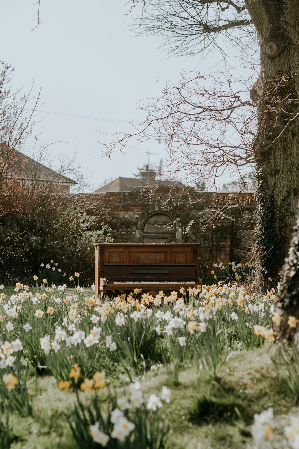 a wooden bench sitting in the middle of a field of flowers