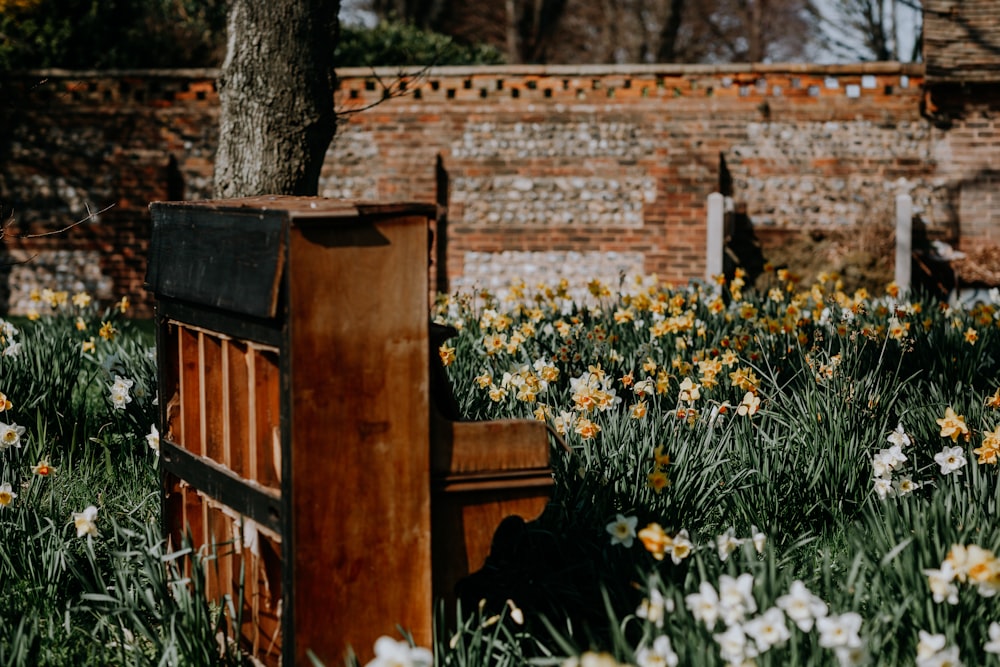 a wooden bench sitting in the middle of a field of flowers