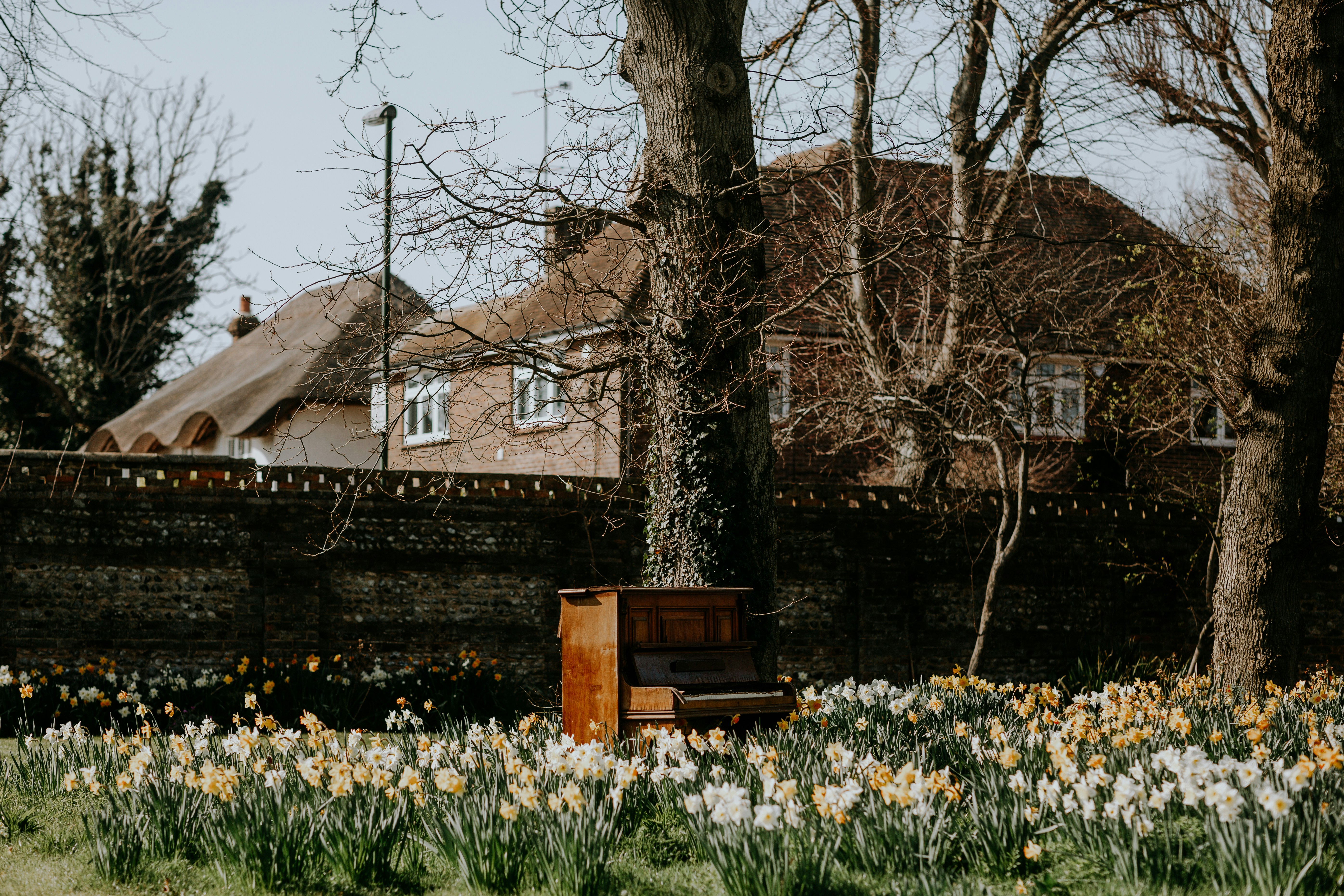 a wooden box sitting in the middle of a field of flowers