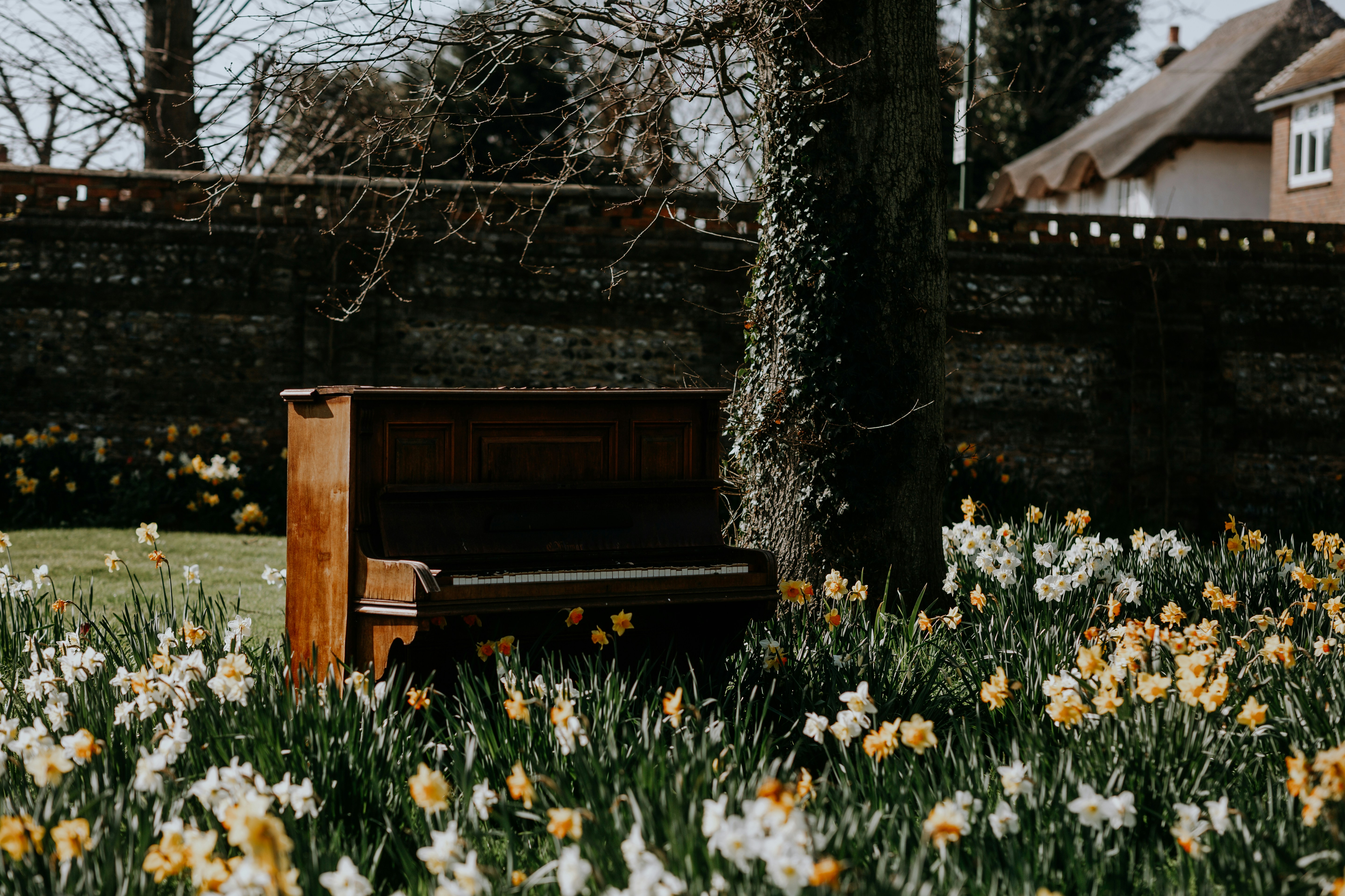 a piano sitting in the middle of a field of flowers