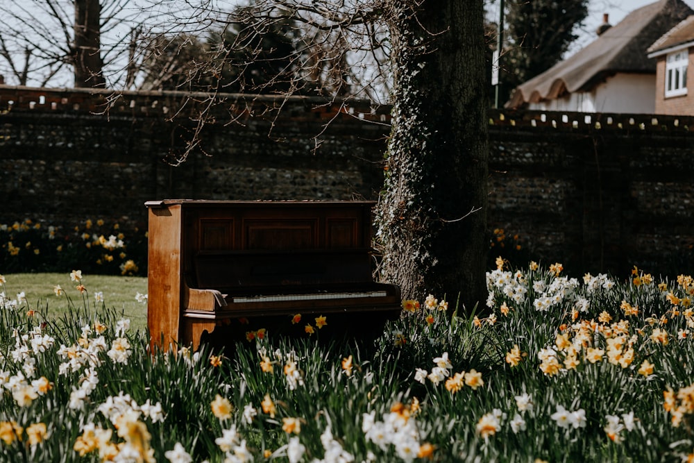 un pianoforte seduto in mezzo a un campo di fiori