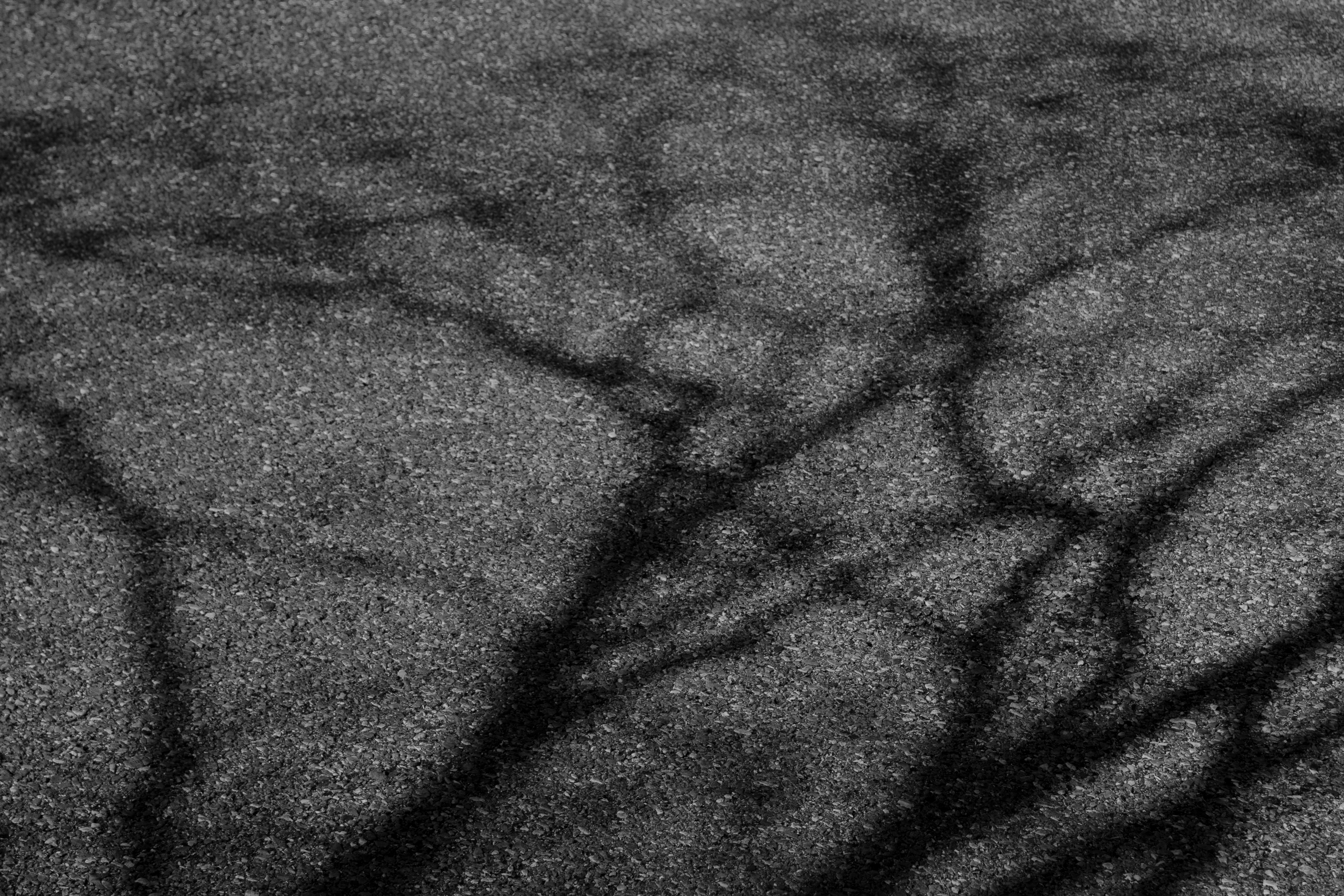 Photo by ghuffmanphotography