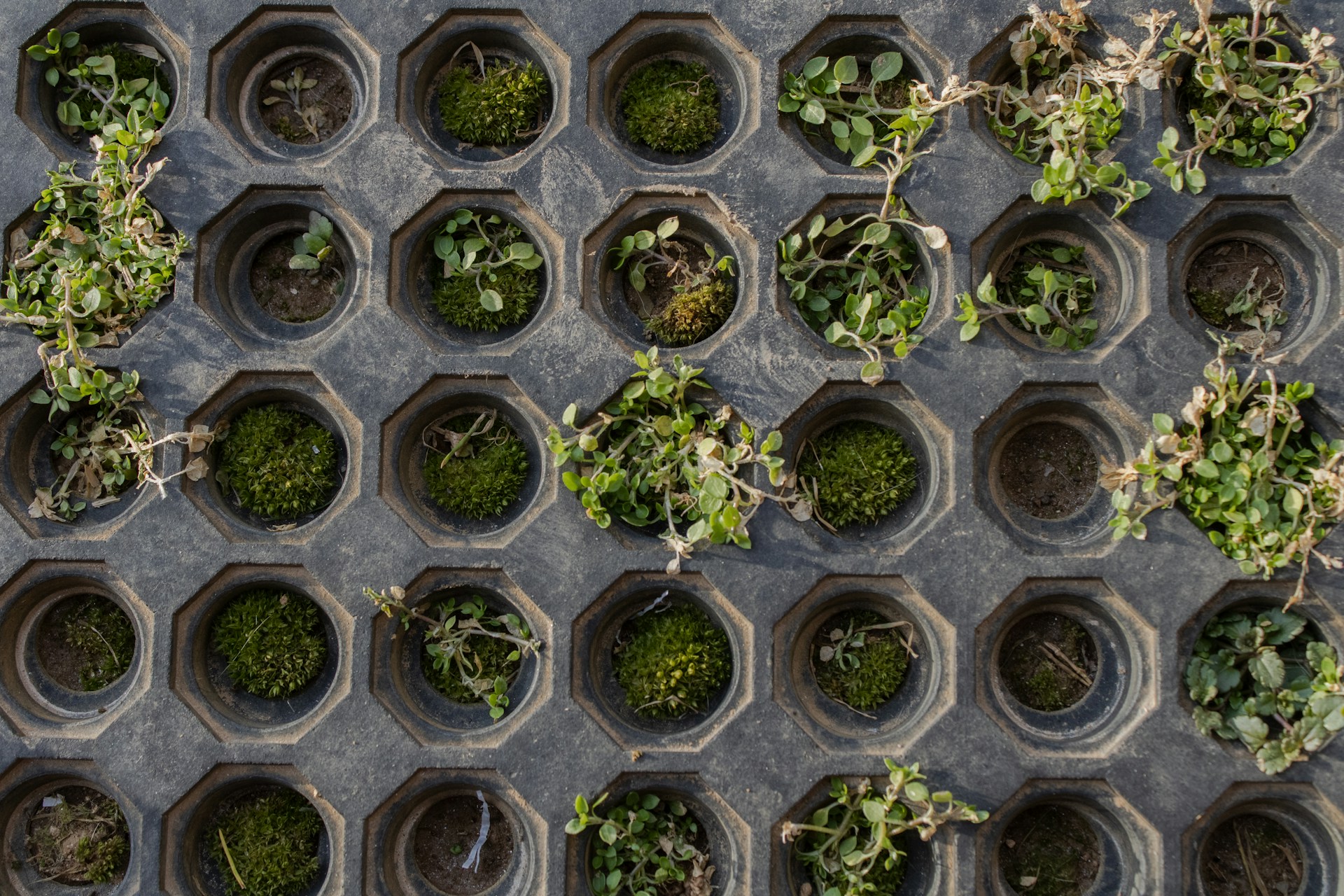 woman wearing yellow long-sleeved dress under white clouds and blue sky during daytime