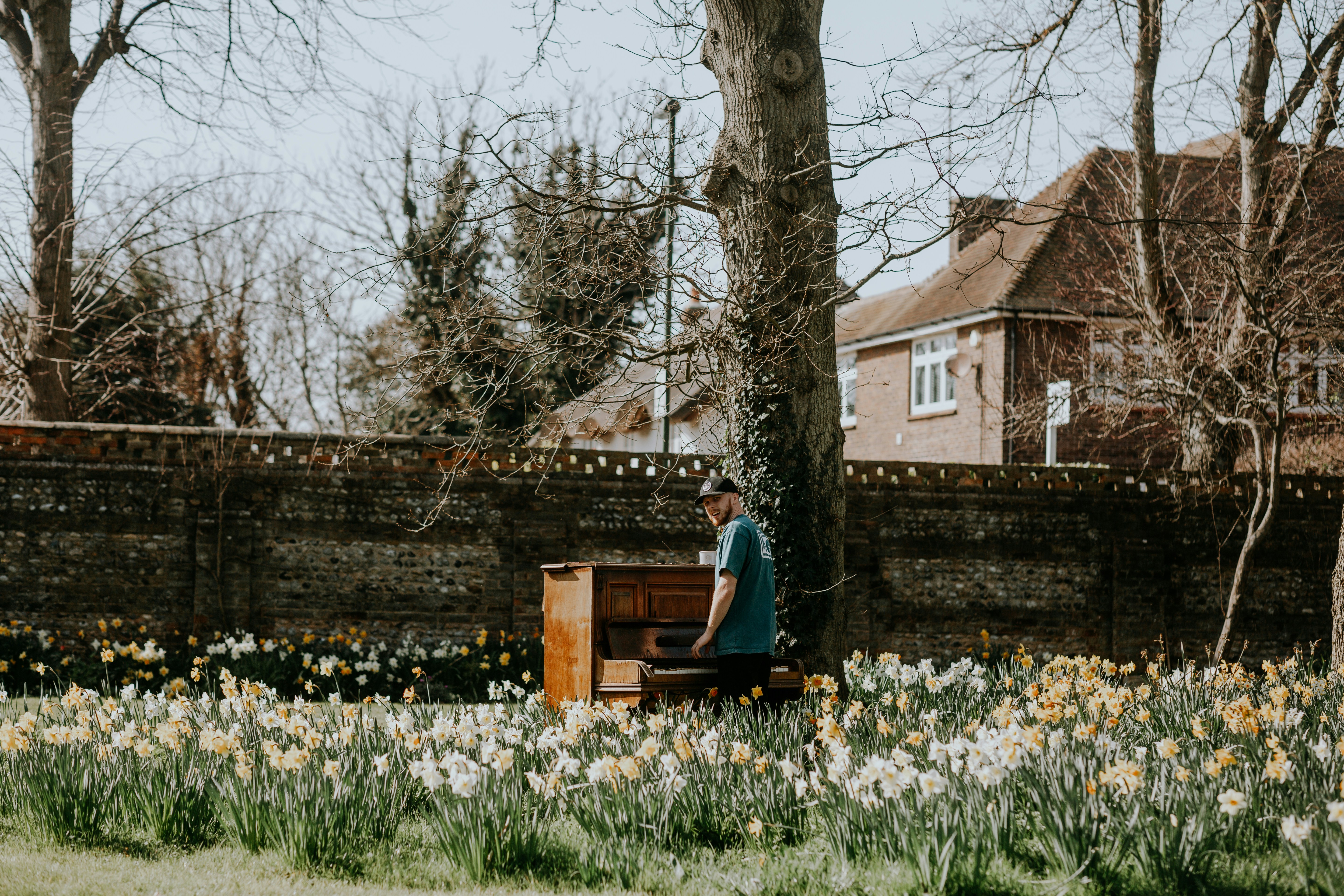 a person sitting on a bench in a field of flowers