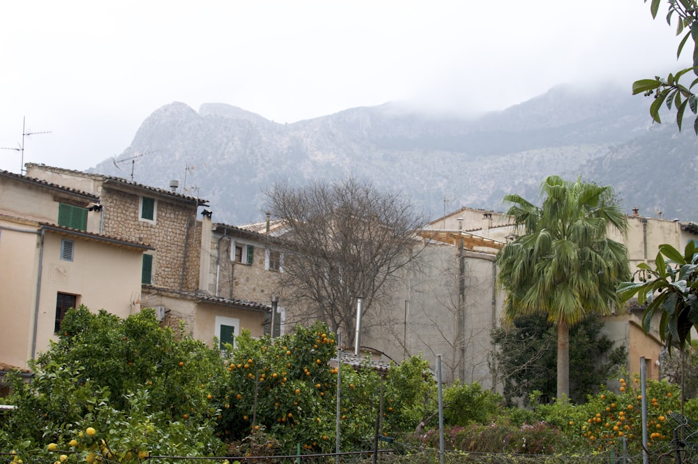 a row of houses with mountains in the background