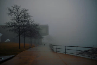 a person walking down a sidewalk in the fog
