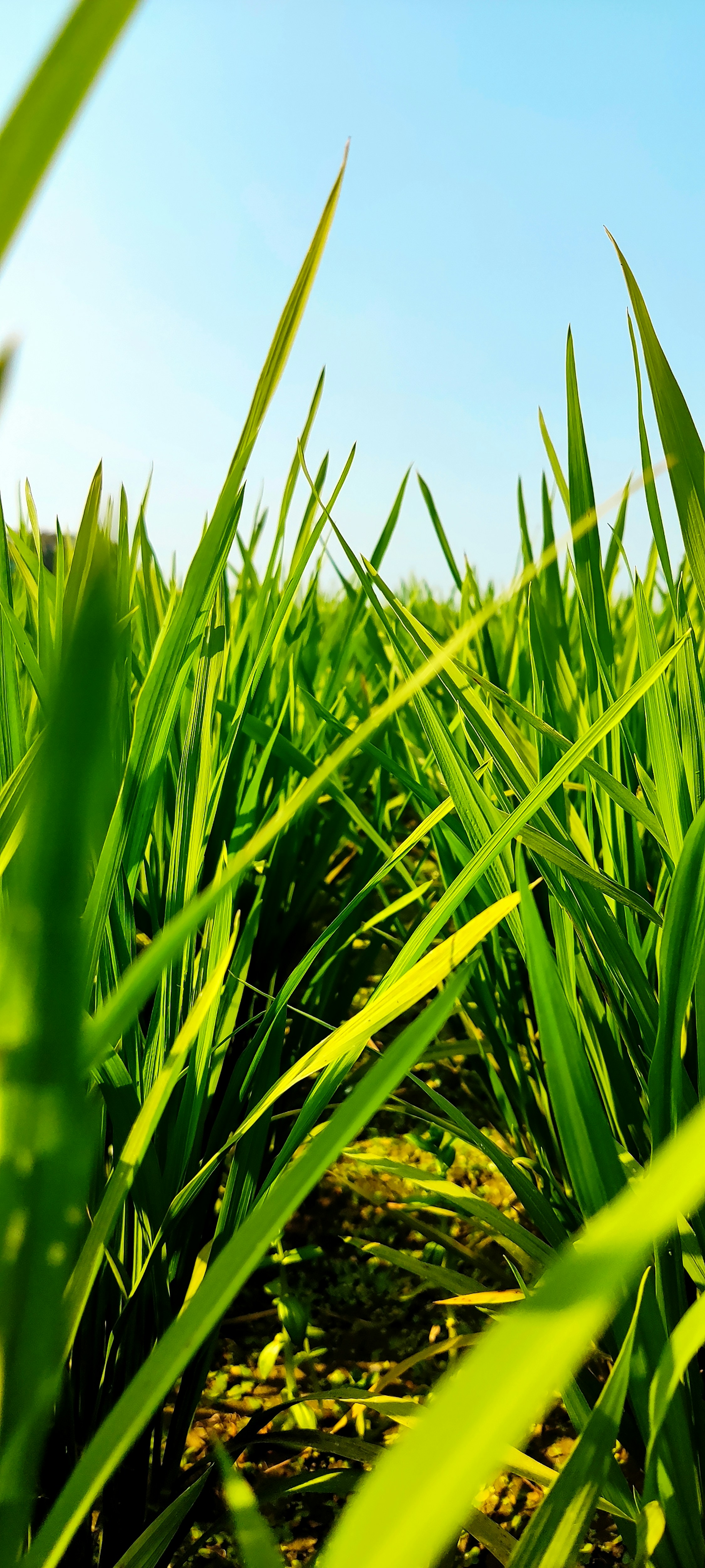 Photo by cogito_framed