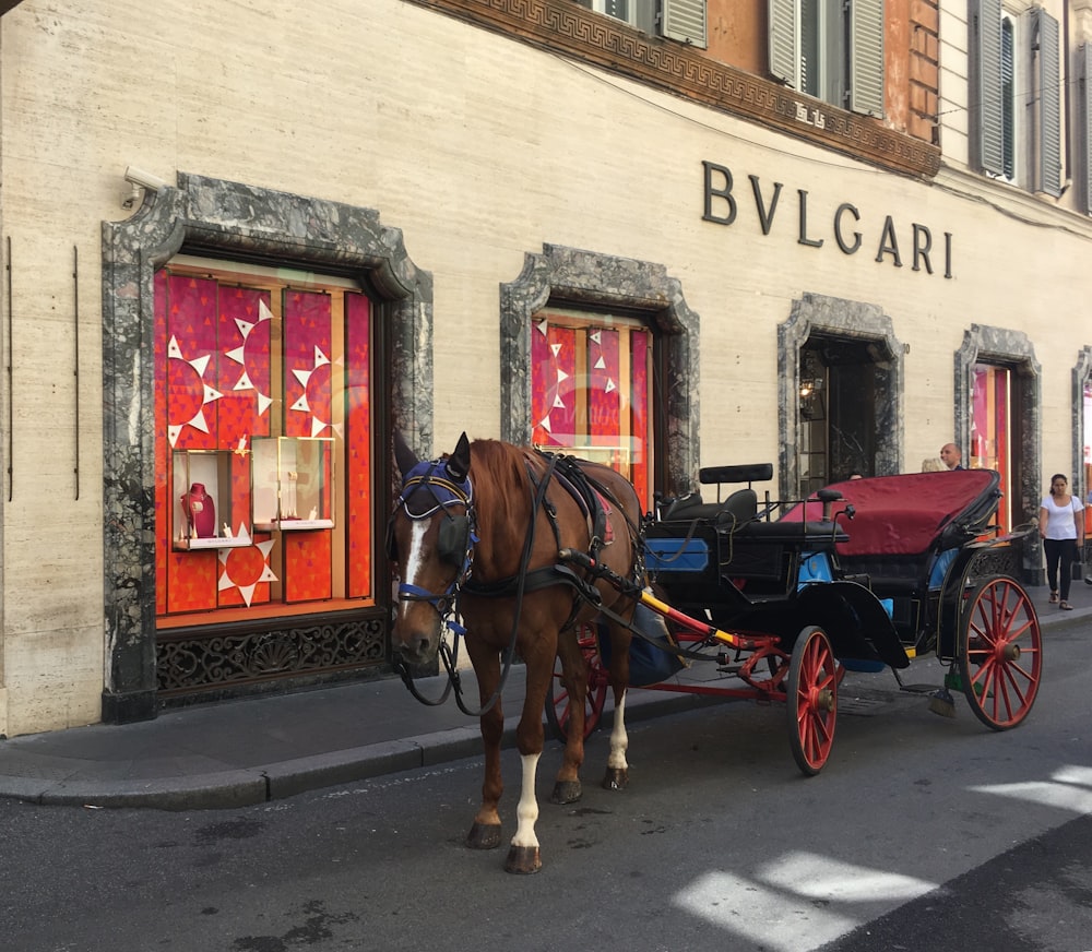 a horse pulling a carriage down a street