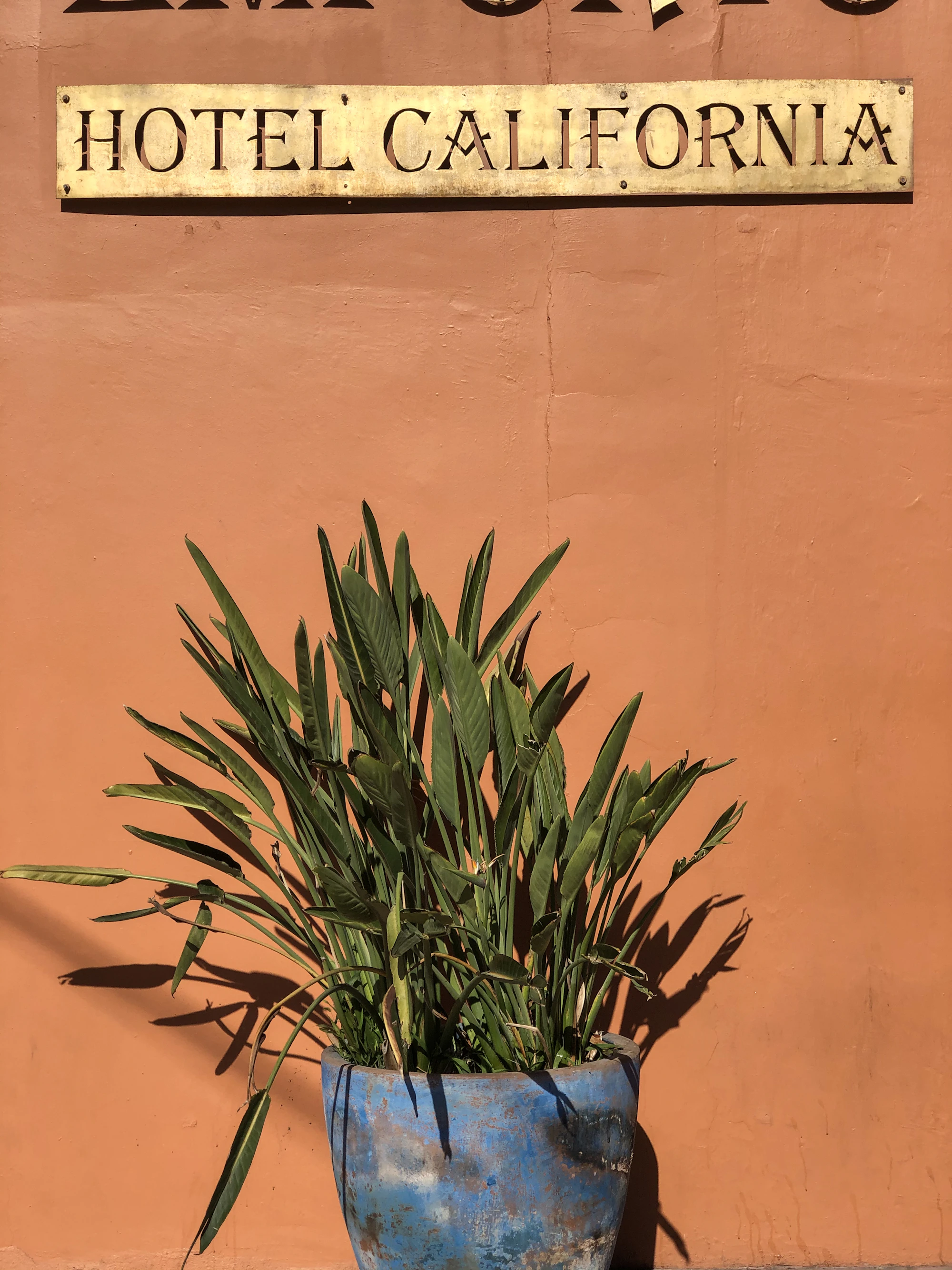 Painted wall and greenery outside the Hotel California in Todos Santos centro