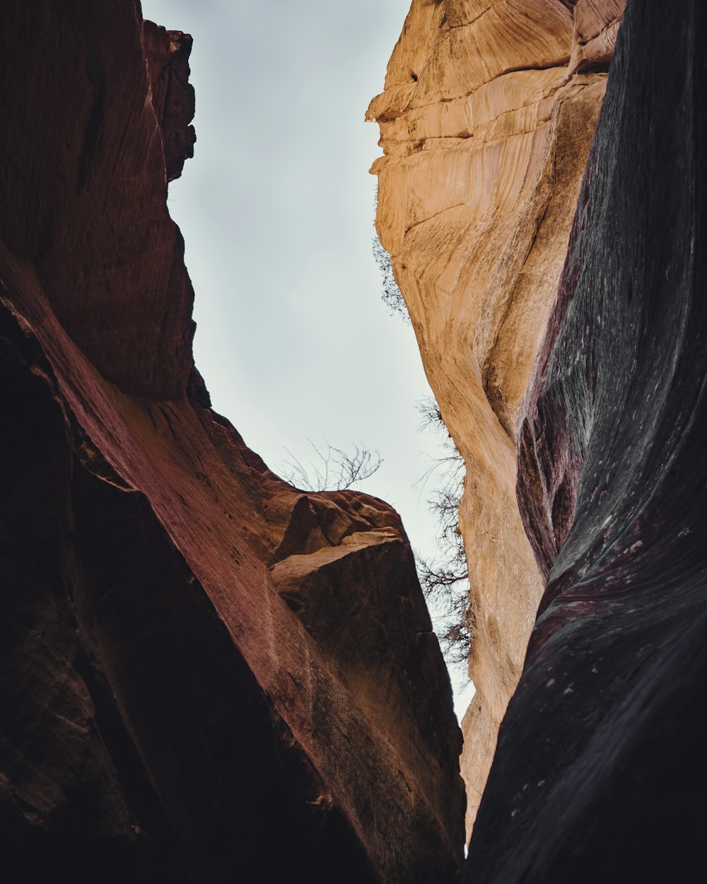 a narrow canyon with a steep cliff in the background