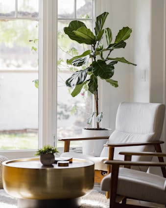 A cozy living room corner featuring a tall wooden plant stand with lush greenery and a hanging macrame plant holder near a sunlit window.