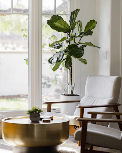 Cozy living room corner with natural light highlighting soft textures and green plants.