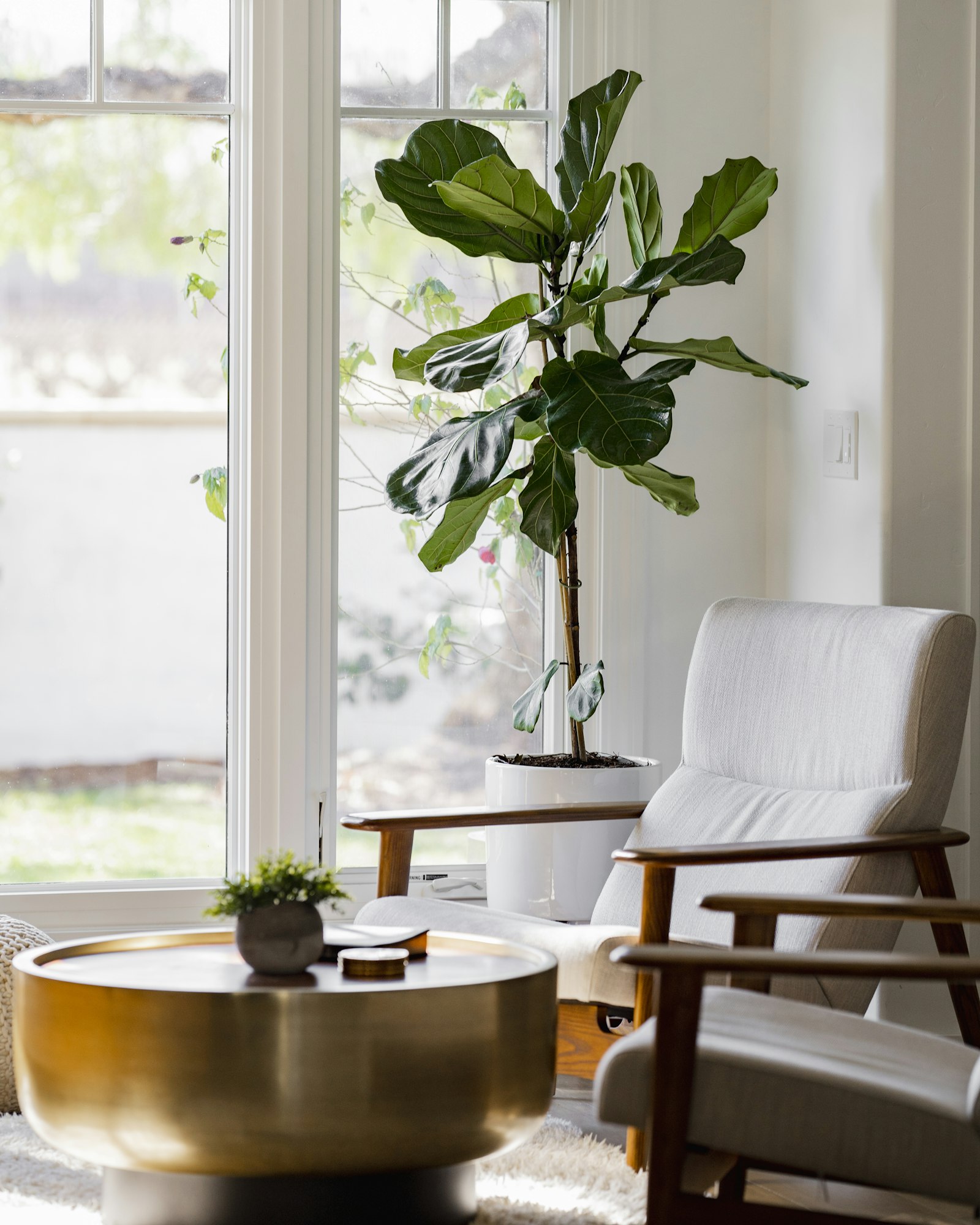 A fresh room creatively mixing brass and black metal finishes