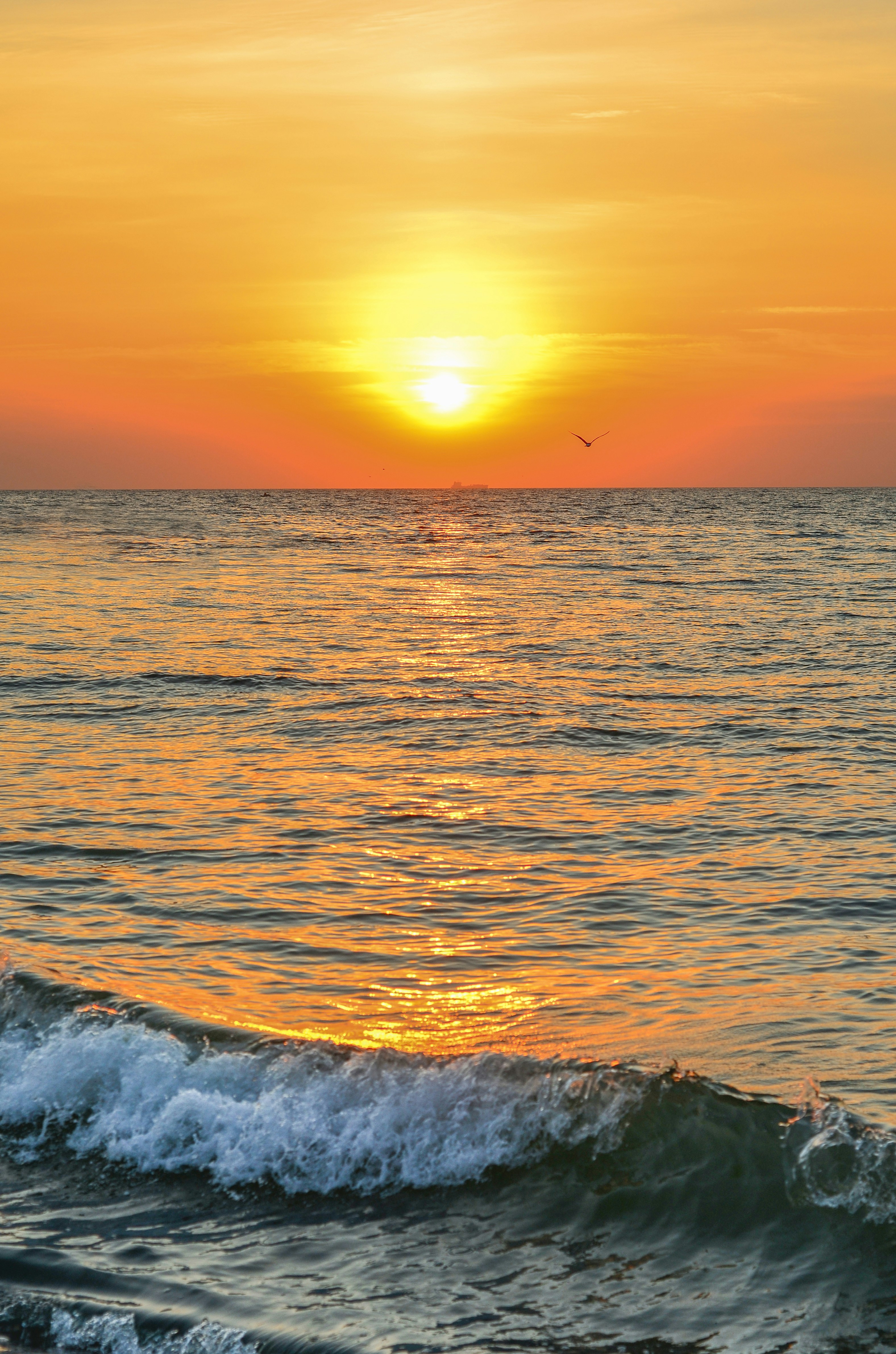 Bruno Fernandes dan Kegagalan Penalti Beruntun: Sebuah Refleksi Karir