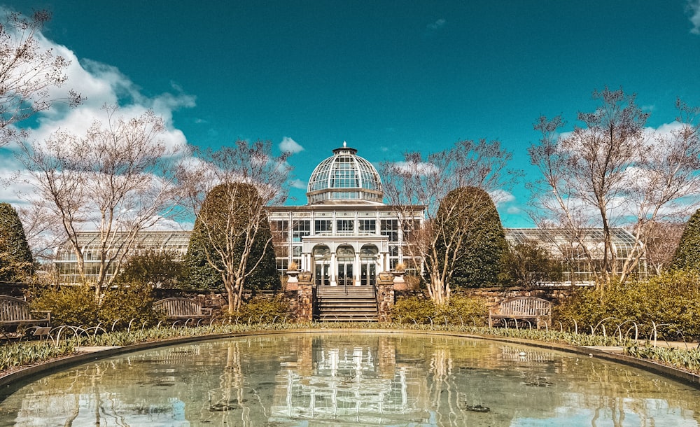 a pond in front of a building surrounded by trees