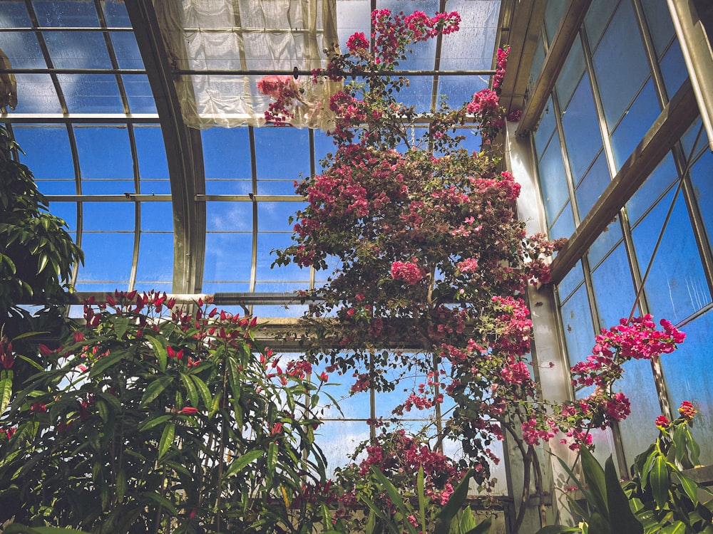 a tree inside of a greenhouse filled with lots of flowers