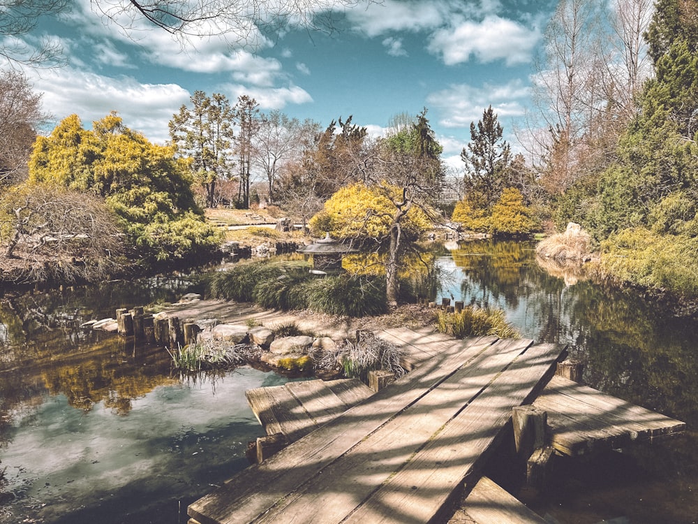 a wooden dock sitting on top of a river next to a forest