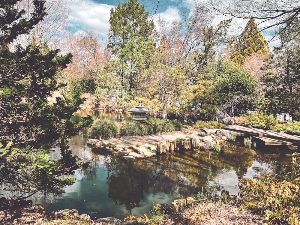 a small pond surrounded by trees and rocks