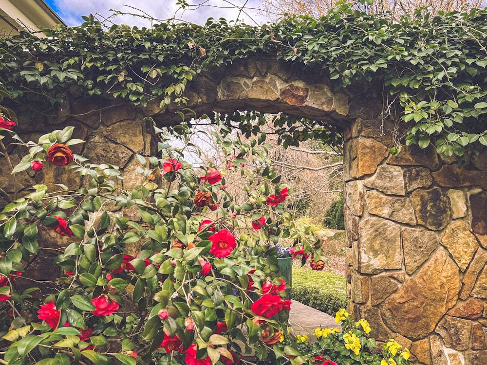 a garden with a stone arch and flowers