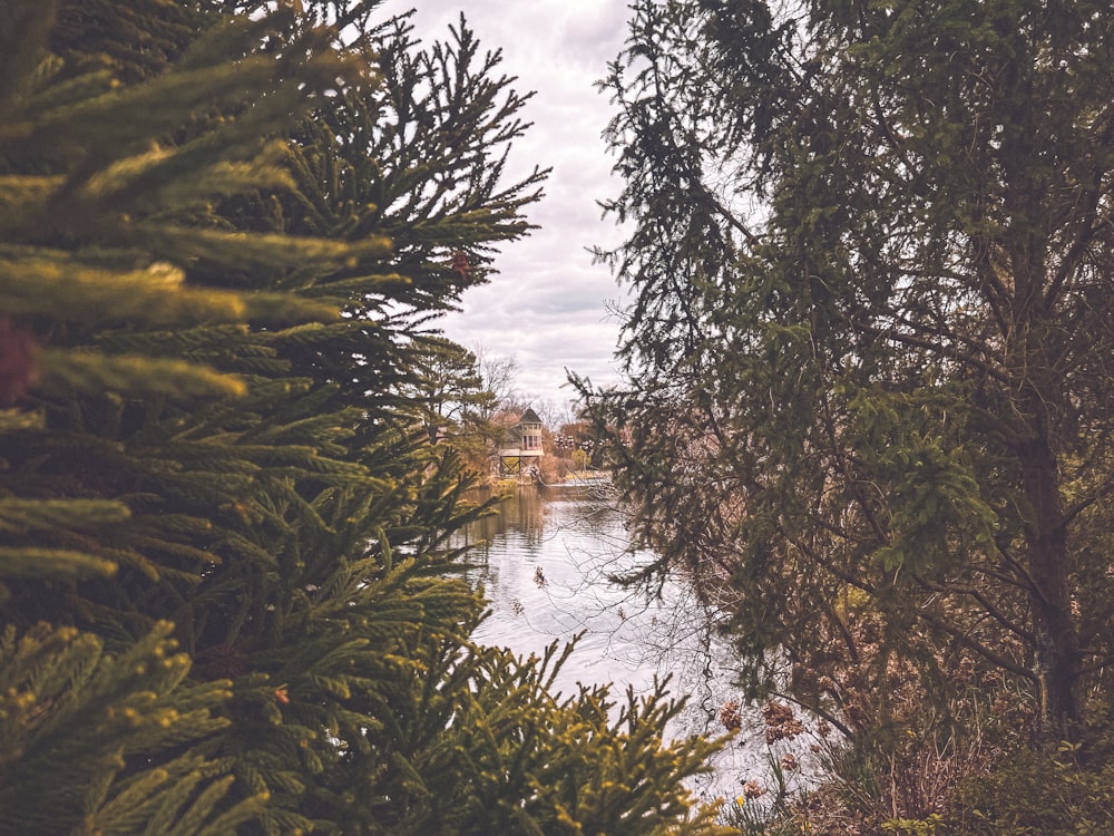 a view of a river through some trees