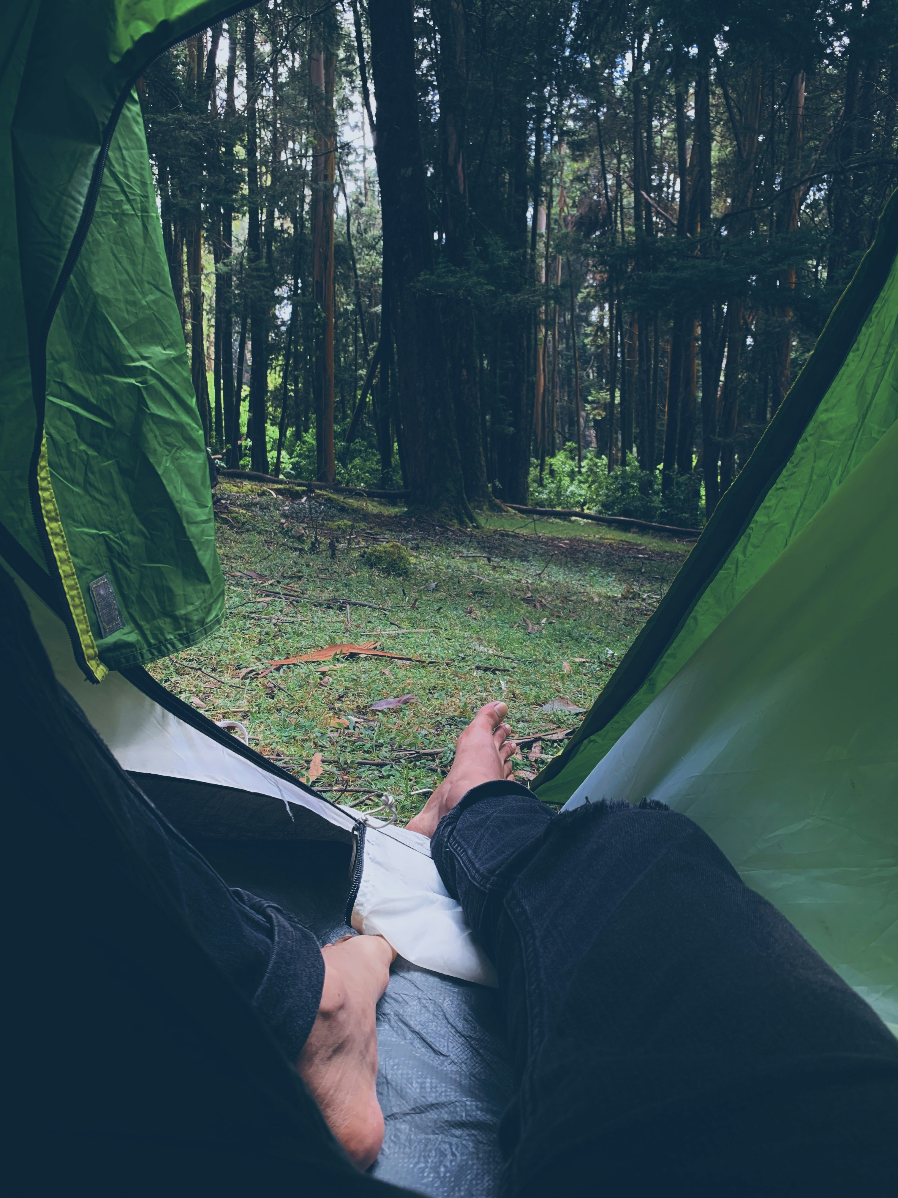 Photo by maher_m_raoof