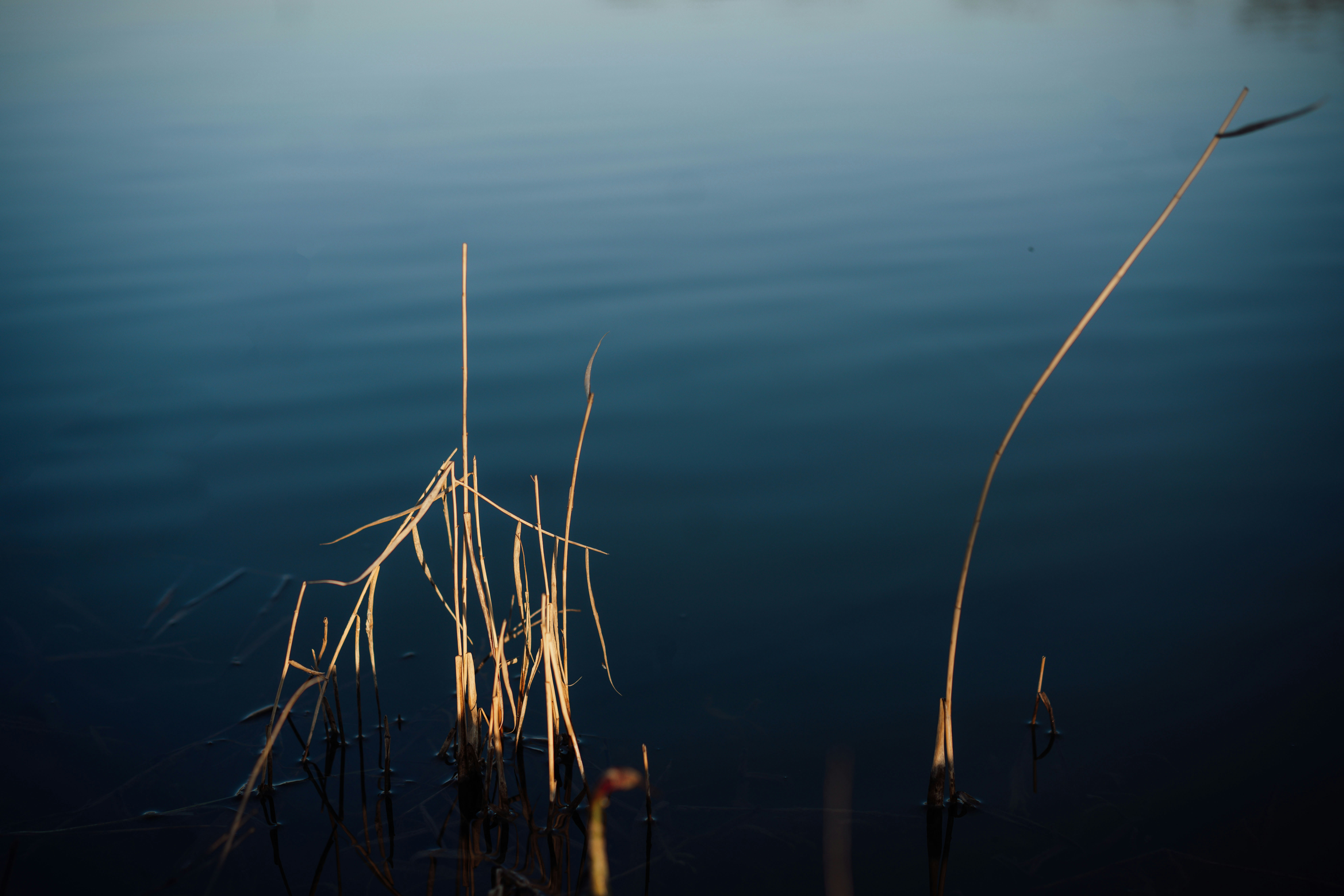 Photo by mihaiteslariu0