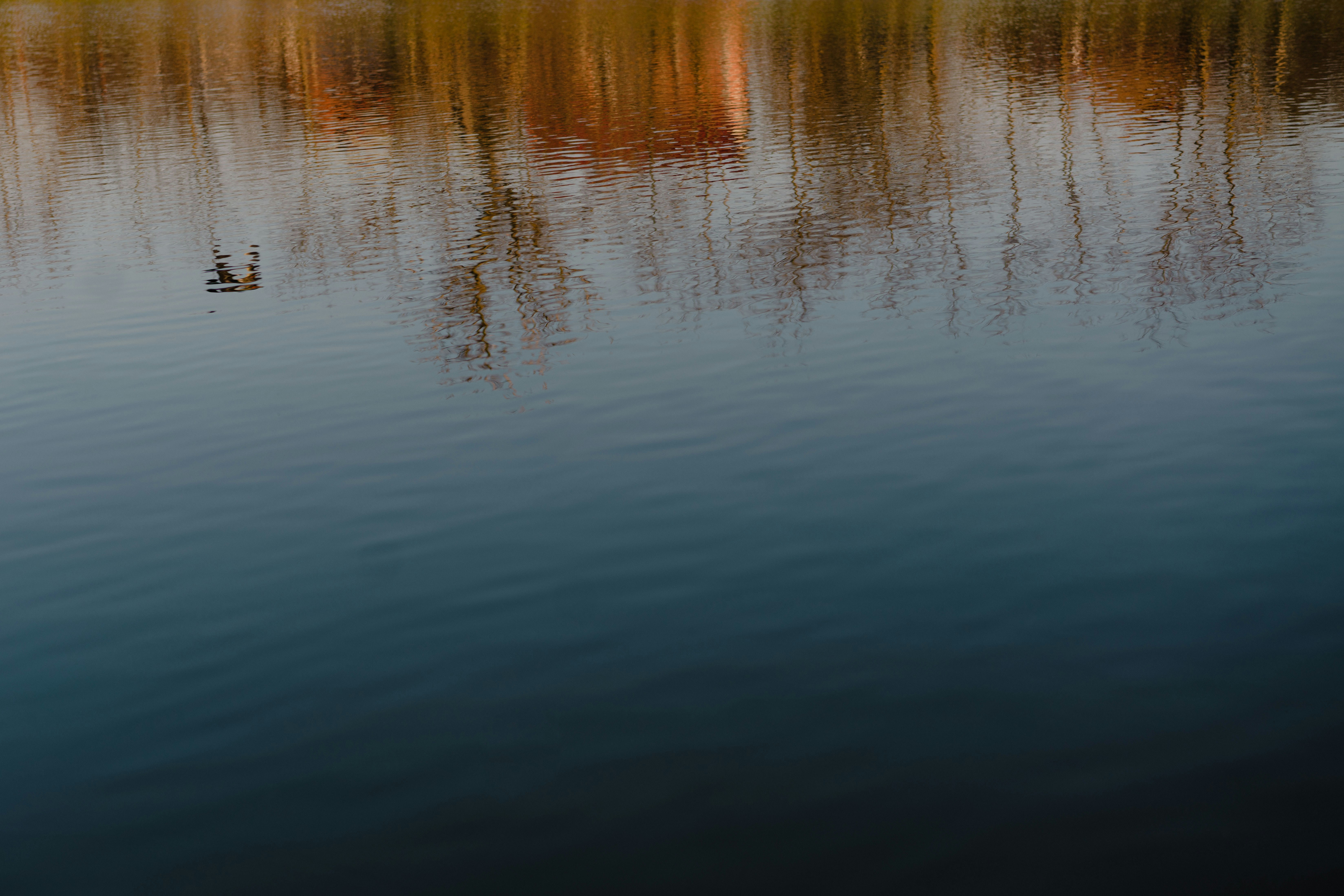 Photo by mihaiteslariu0