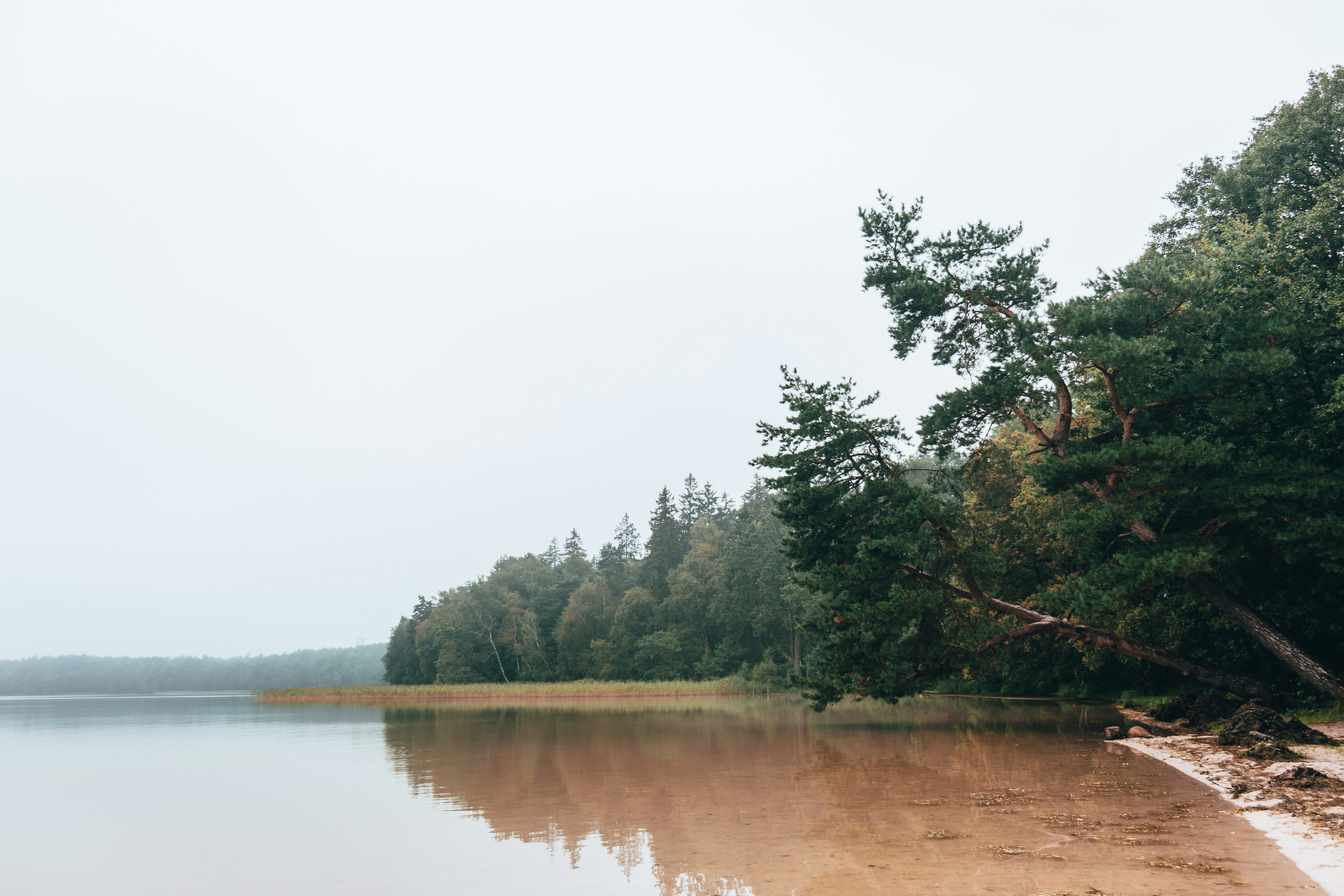 Photo by obscurespace