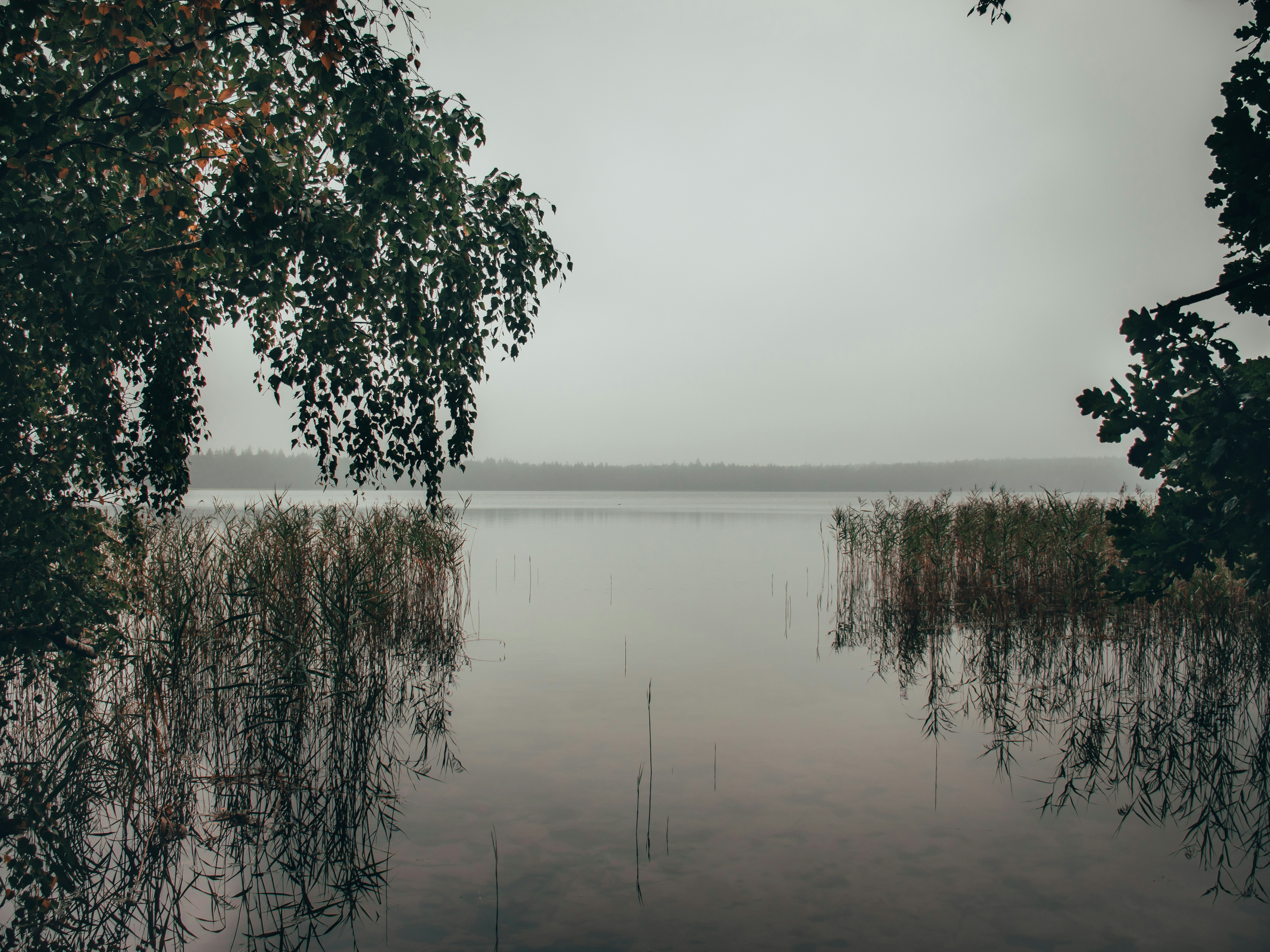 Photo by obscurespace