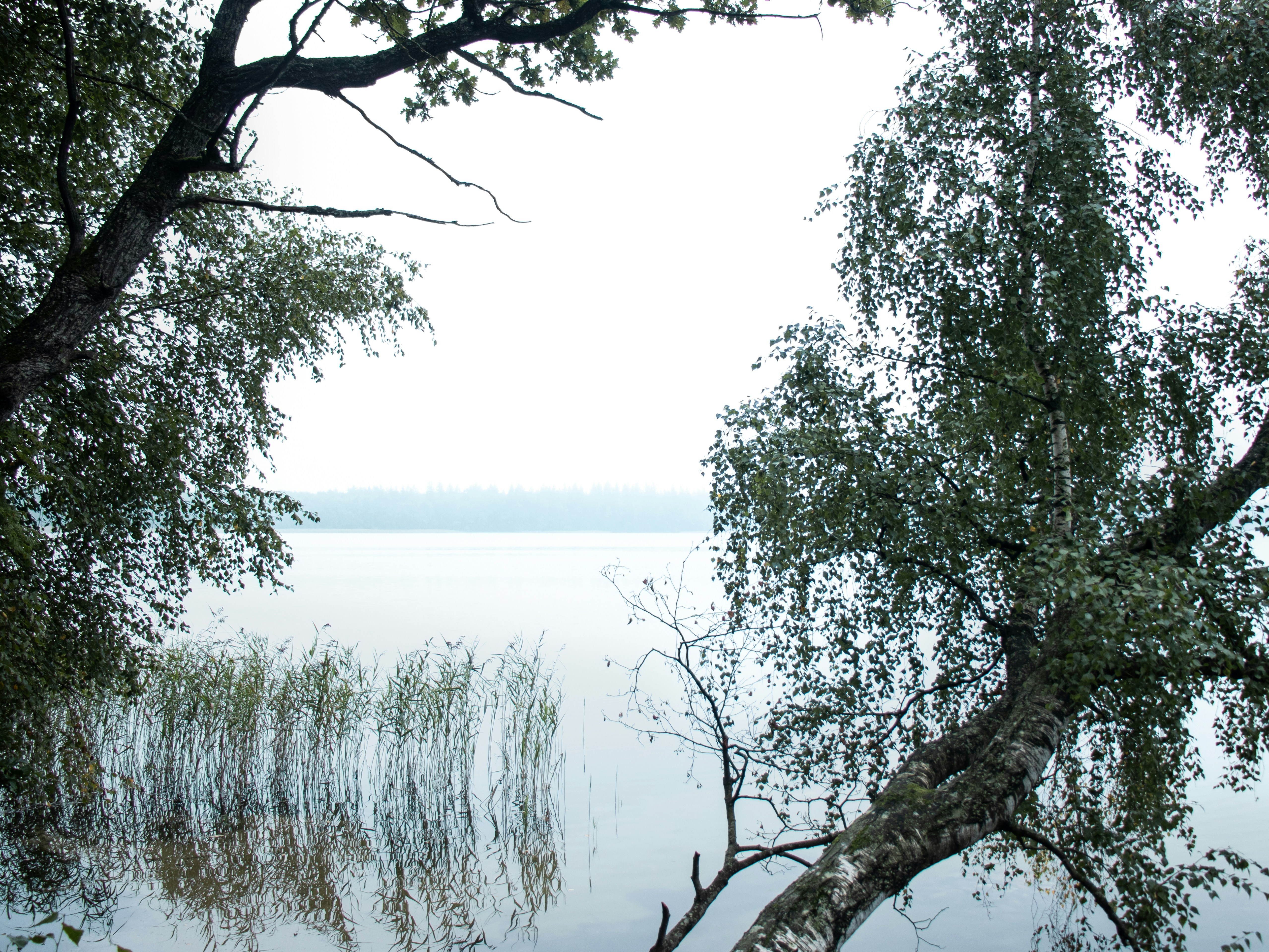 Photo by obscurespace