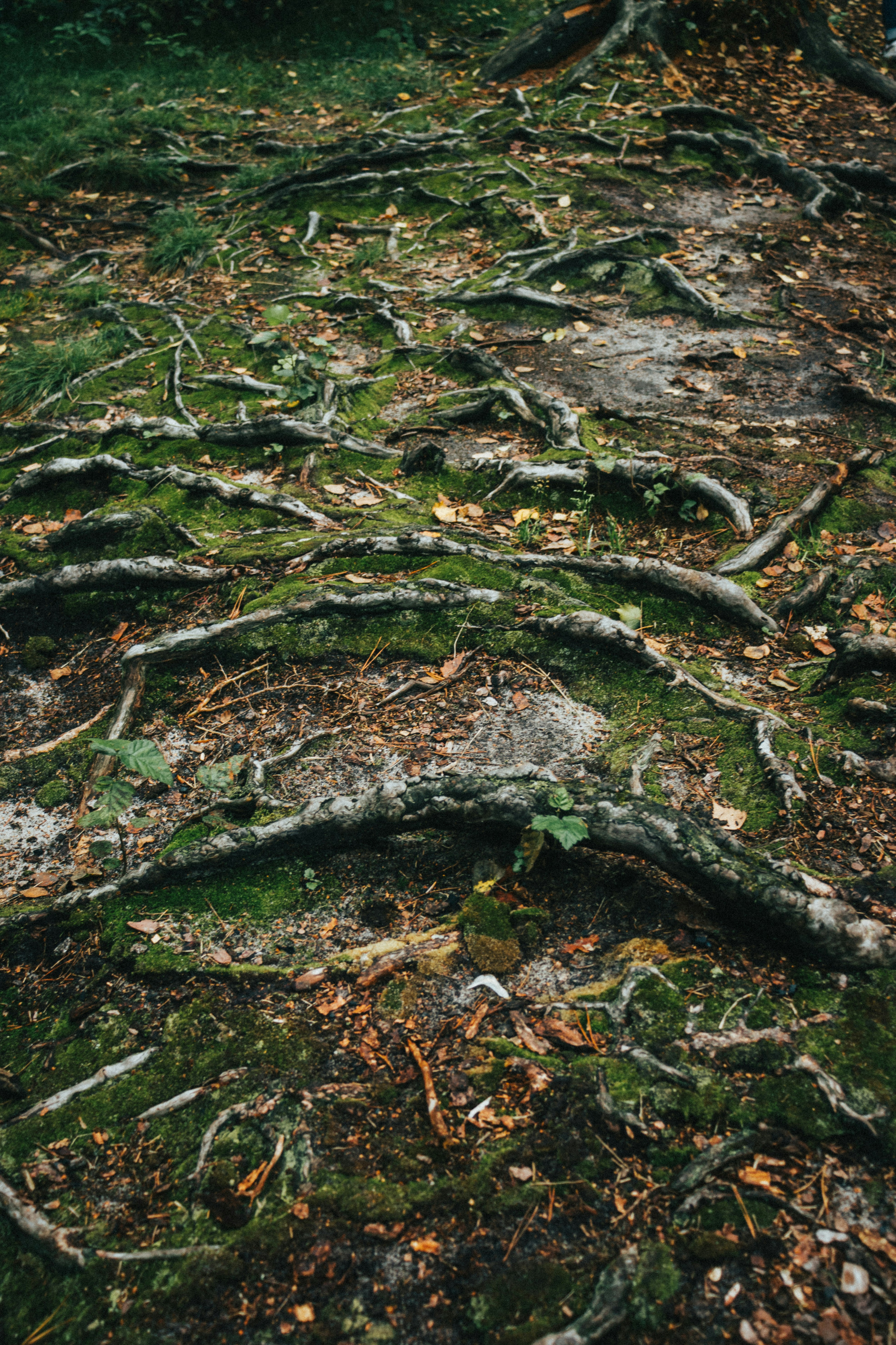 Photo by obscurespace