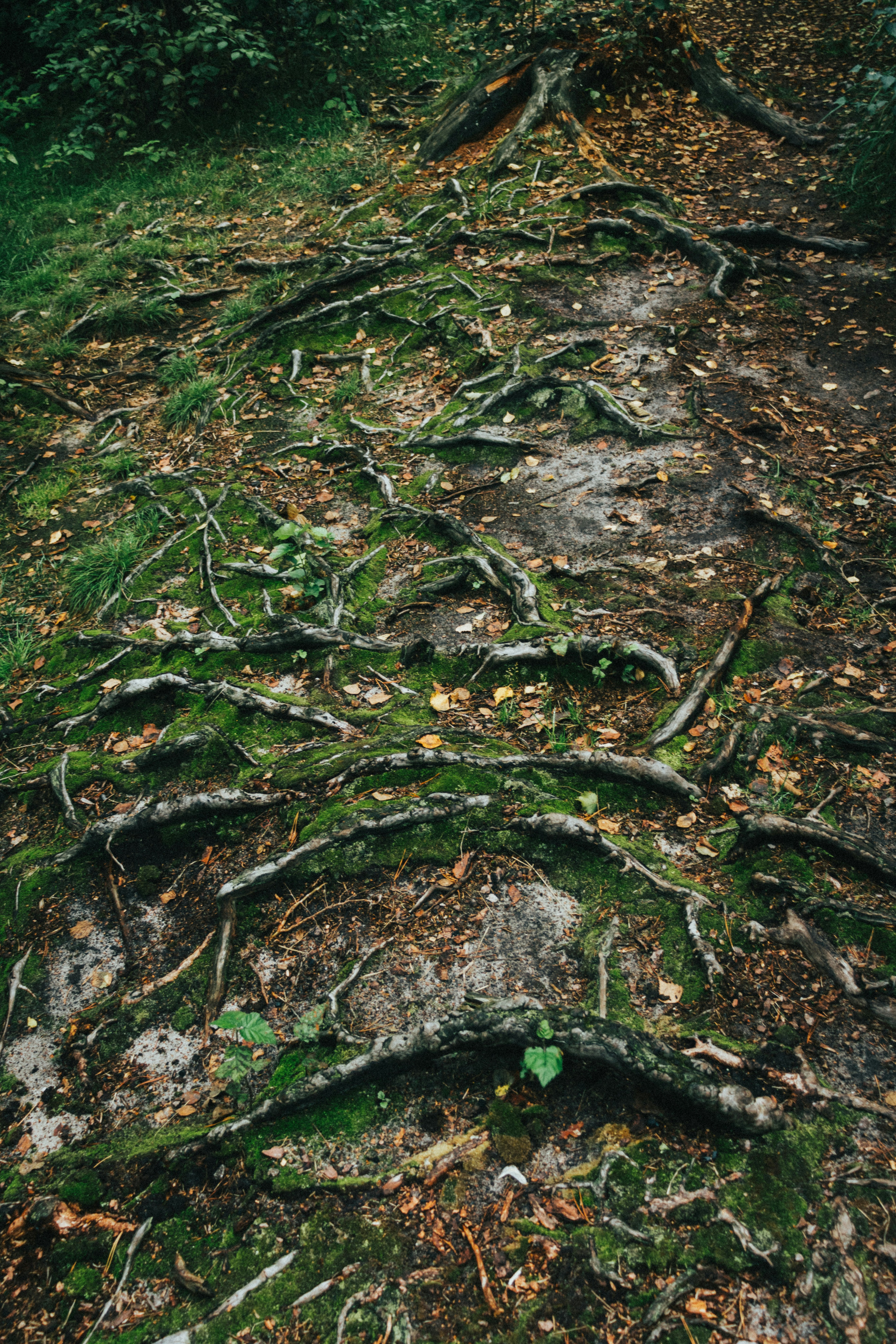 woman wearing yellow long-sleeved dress under white clouds and blue sky during daytime