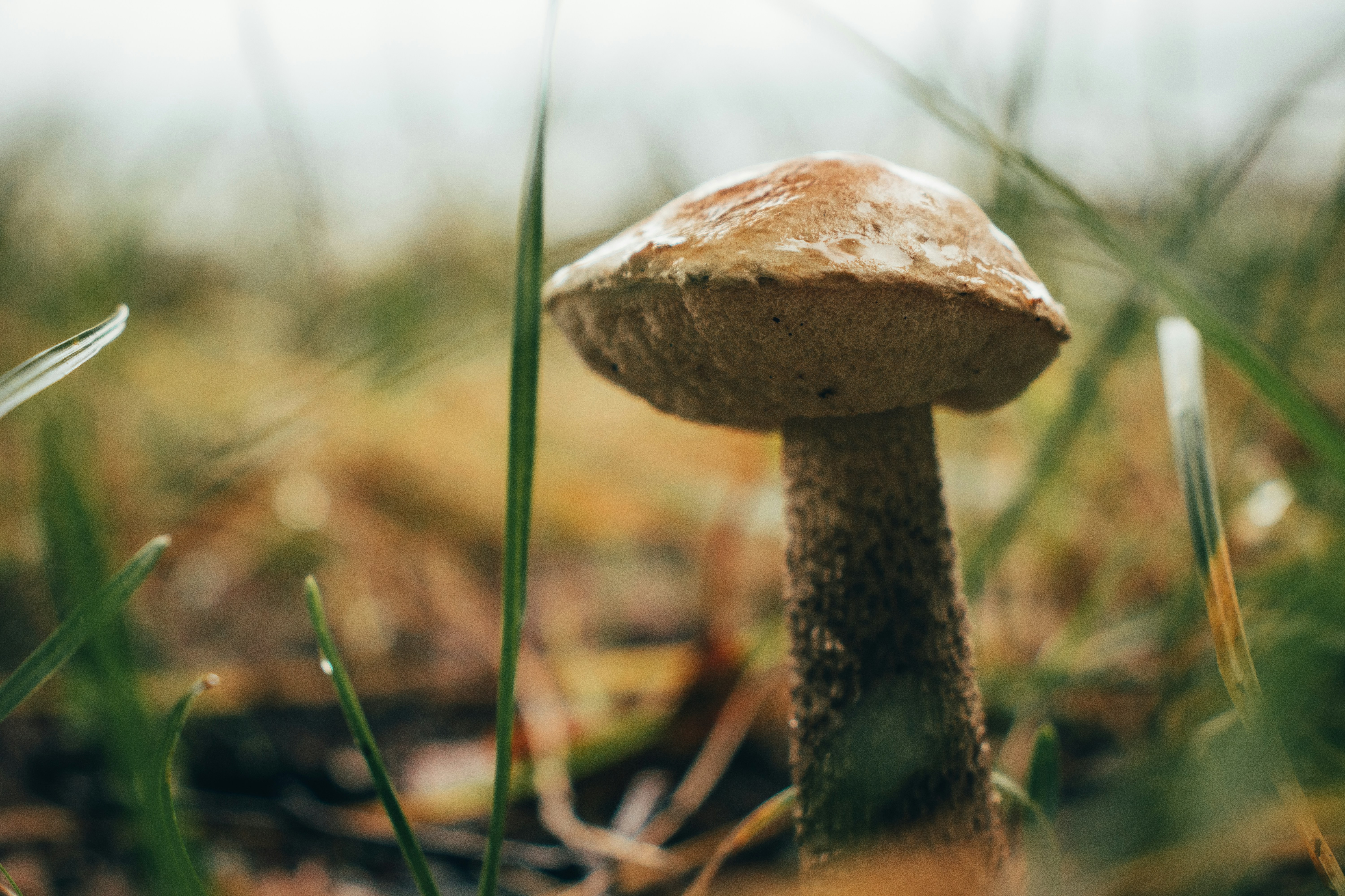 Photo by obscurespace