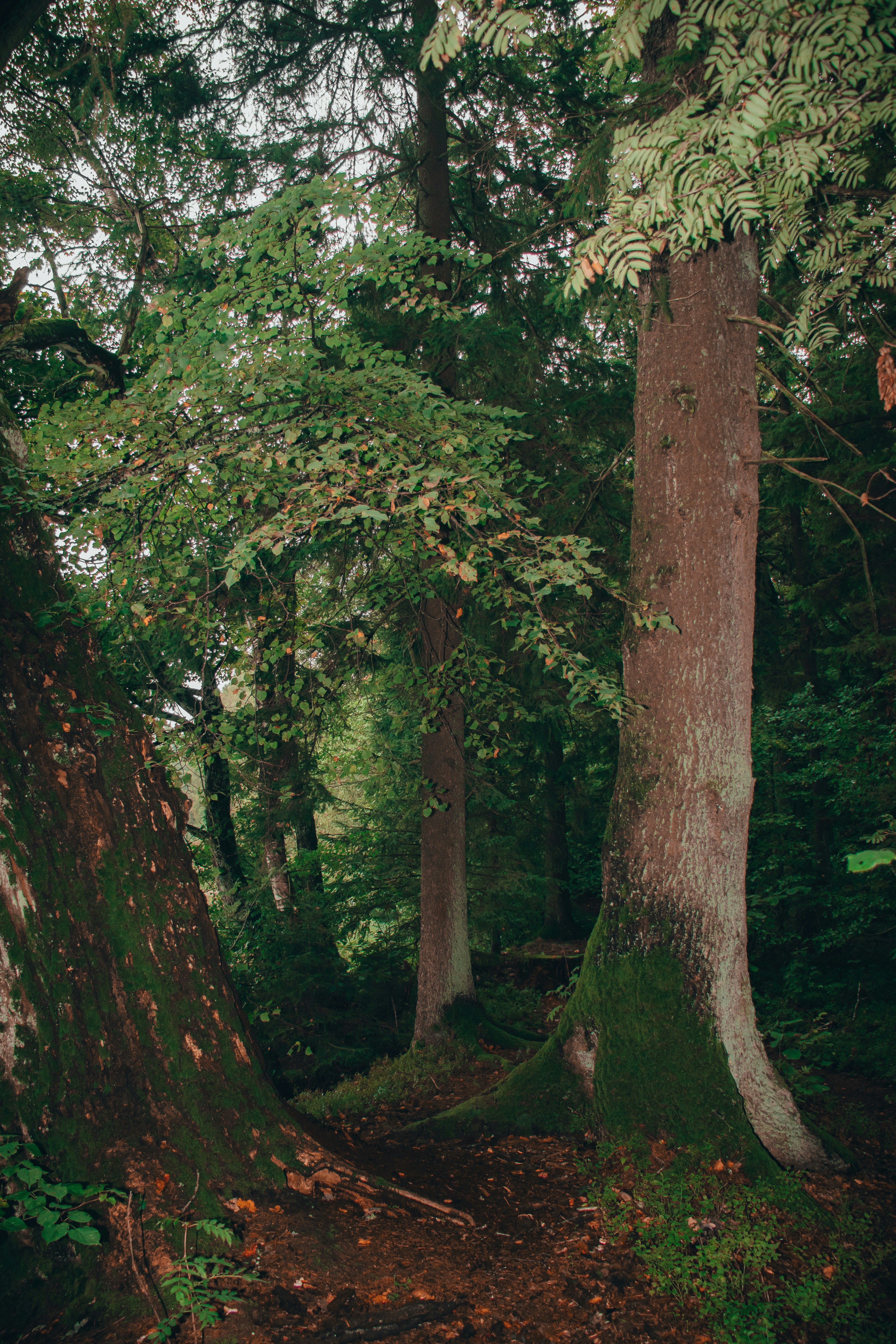 Photo by obscurespace