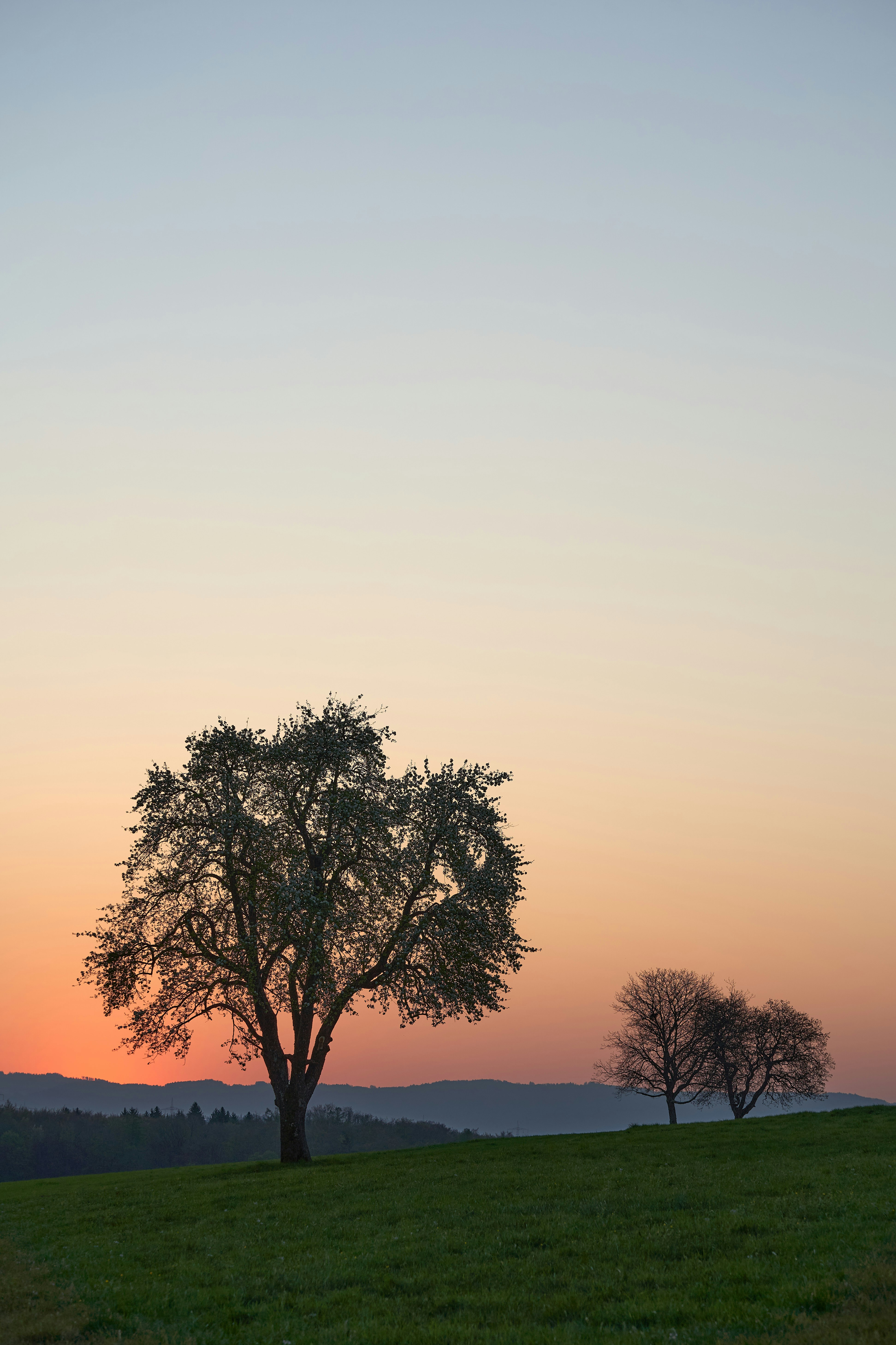 Photo by wolfgang_hasselmann