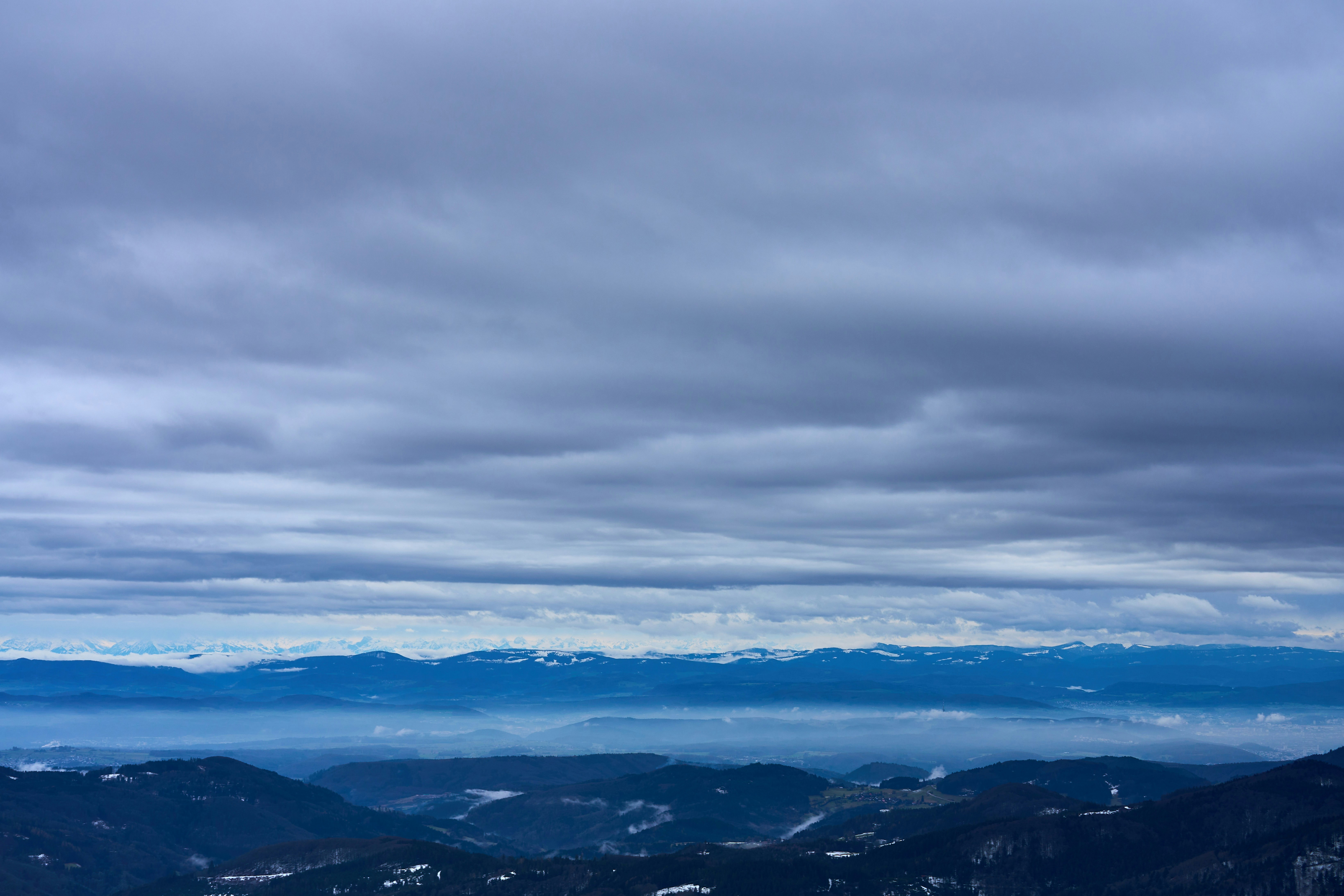 Photo by wolfgang_hasselmann