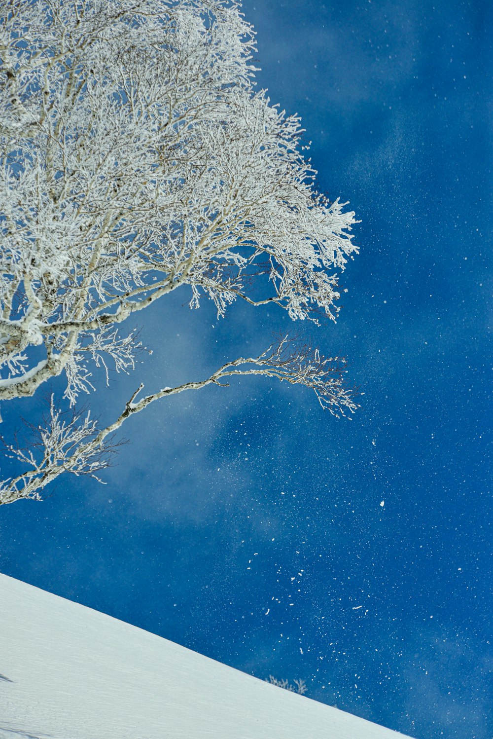 a man riding a snowboard down the side of a snow covered slope