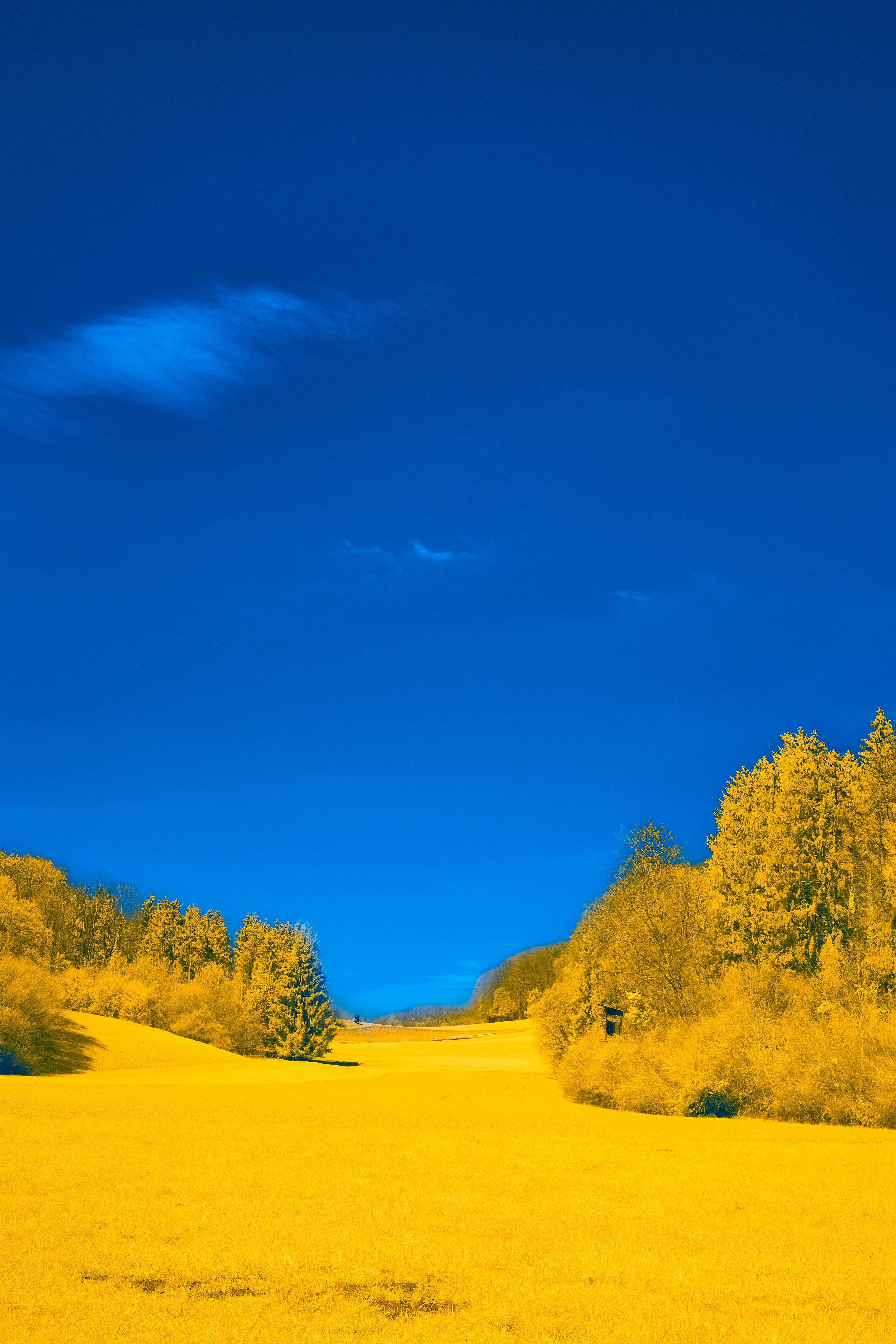 Photo by wolfgang_hasselmann