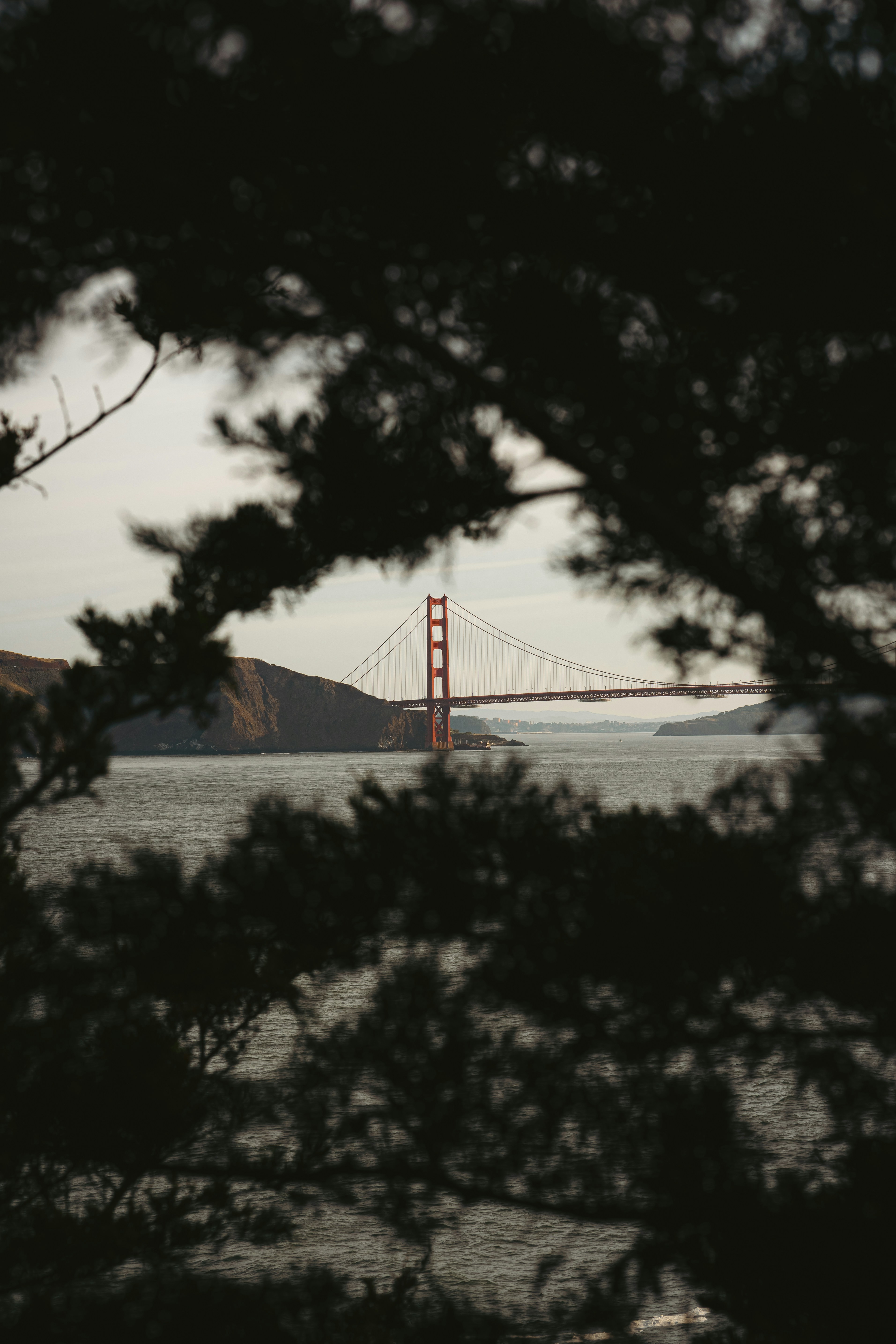 Photo by kalaniparker