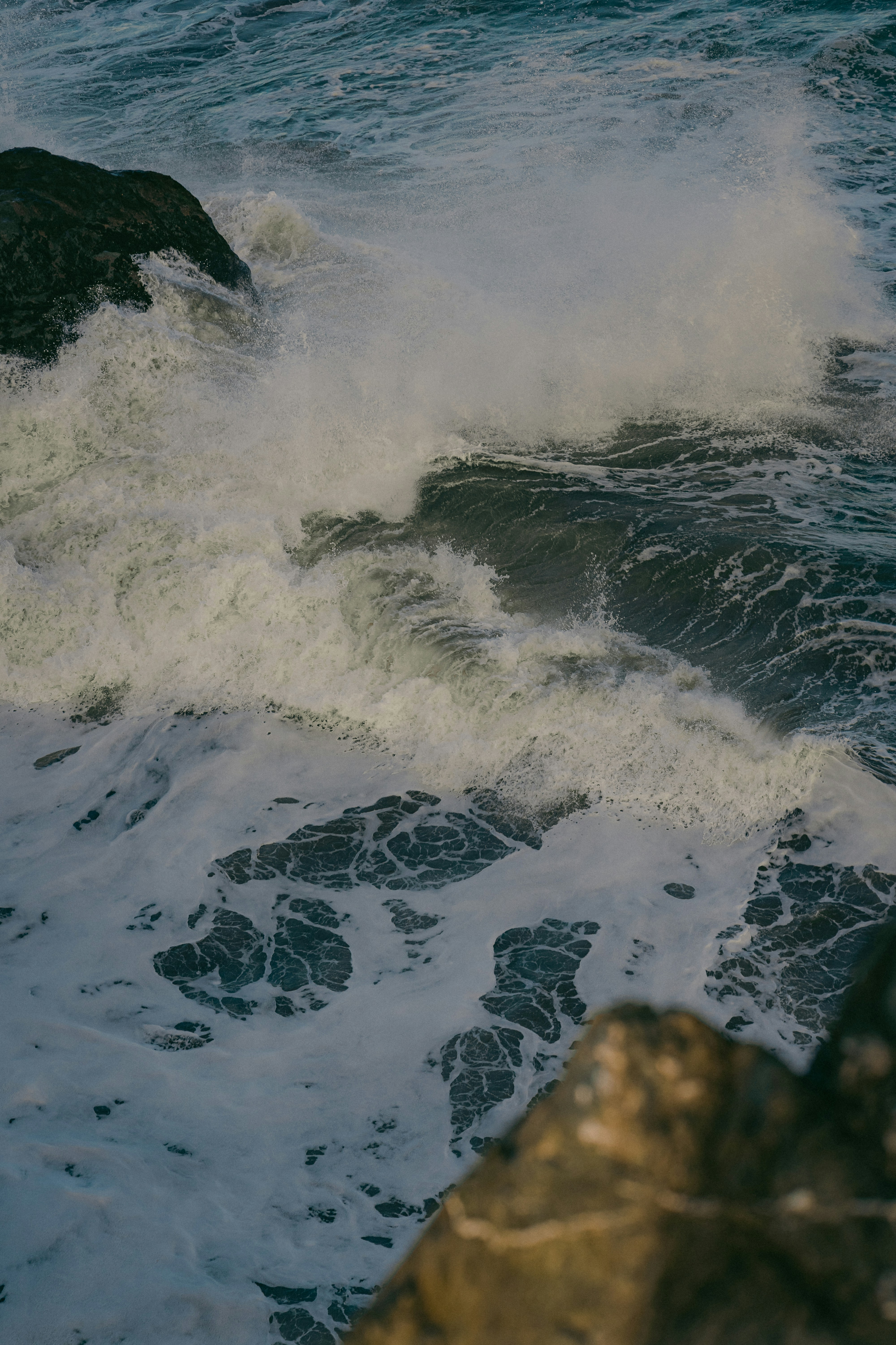 Photo by kalaniparker